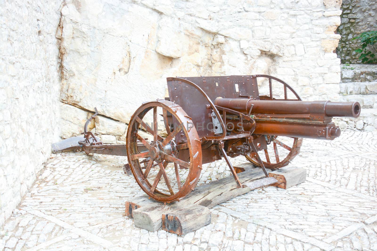 antique cannon by iacobino