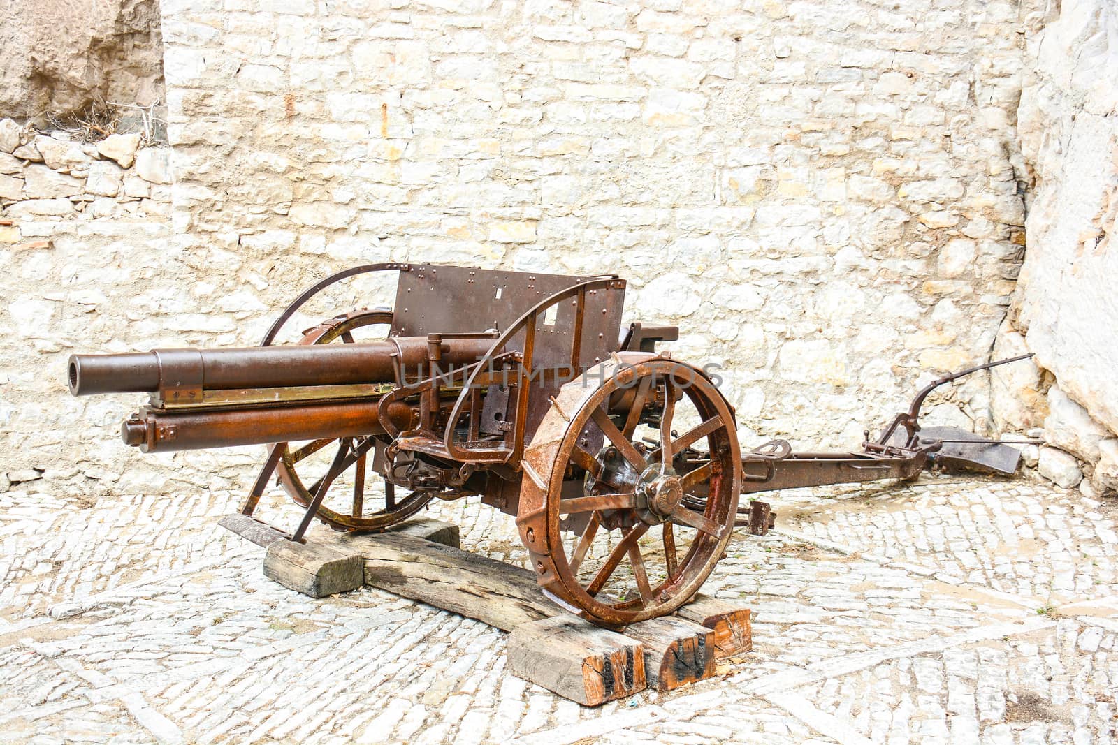 antique cannon by iacobino