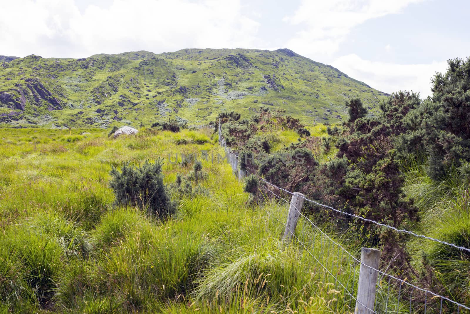 view from a beautiful hiking route the kerry way in ireland of fence leading to rocky mountains