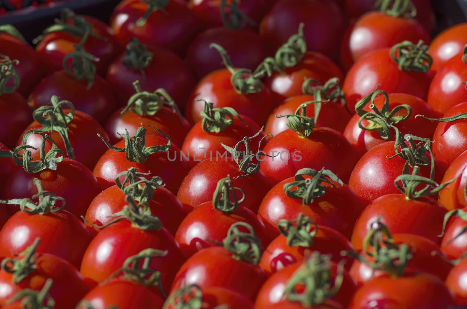 lot of ripe red tomatoes lie in a box