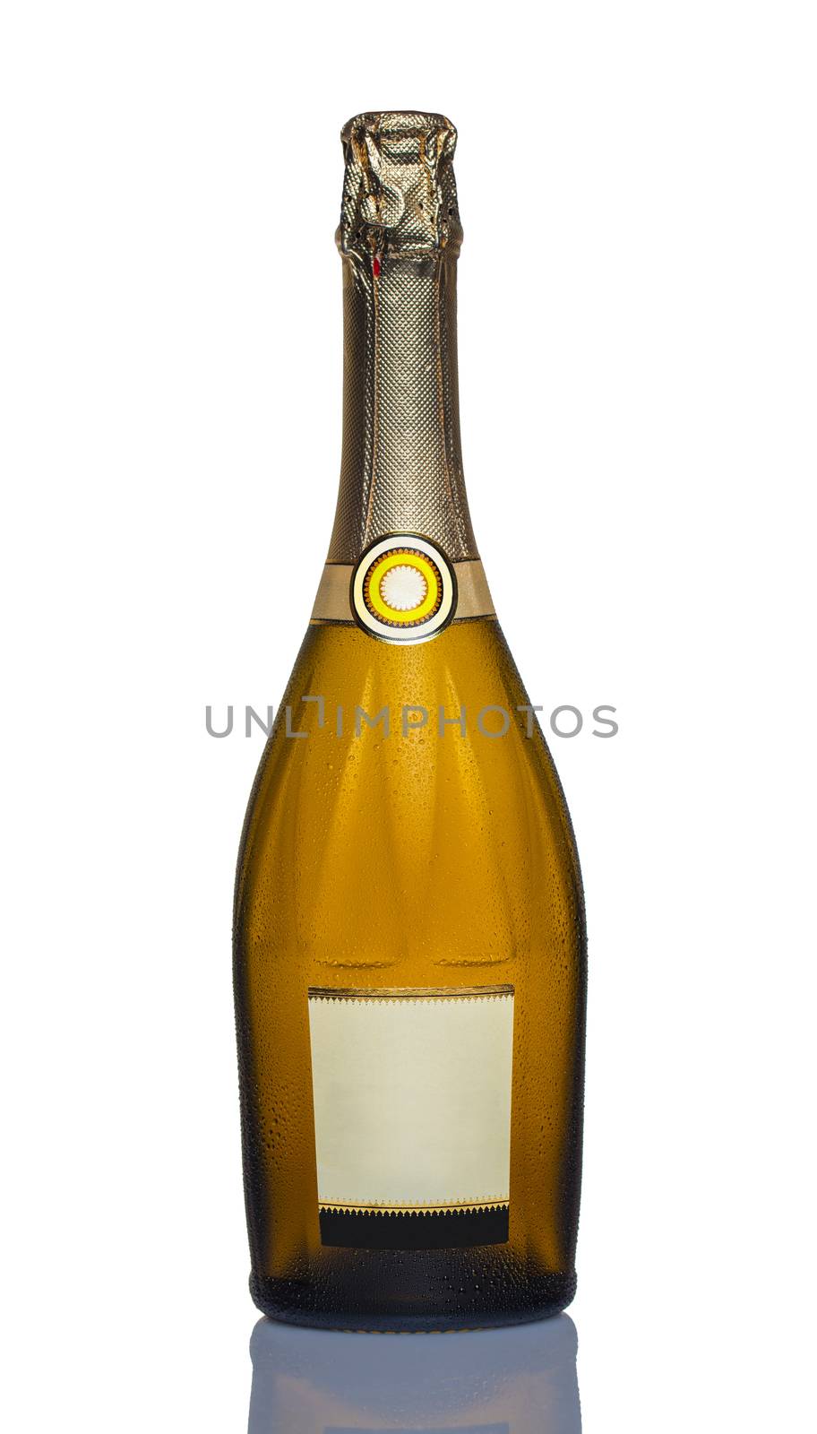 Closed bottle of champagne on a white background