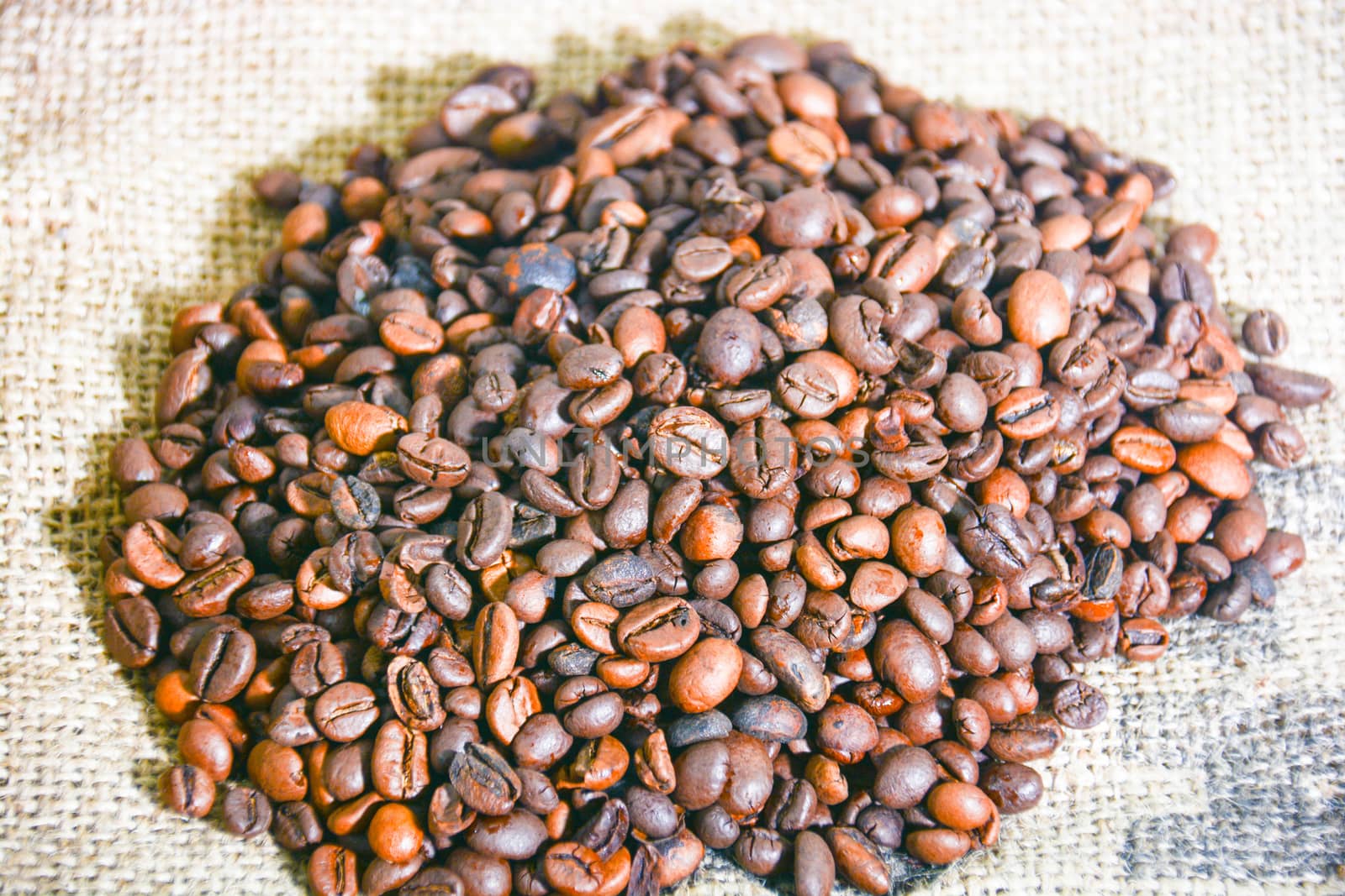 coffee beans 2 by iacobino