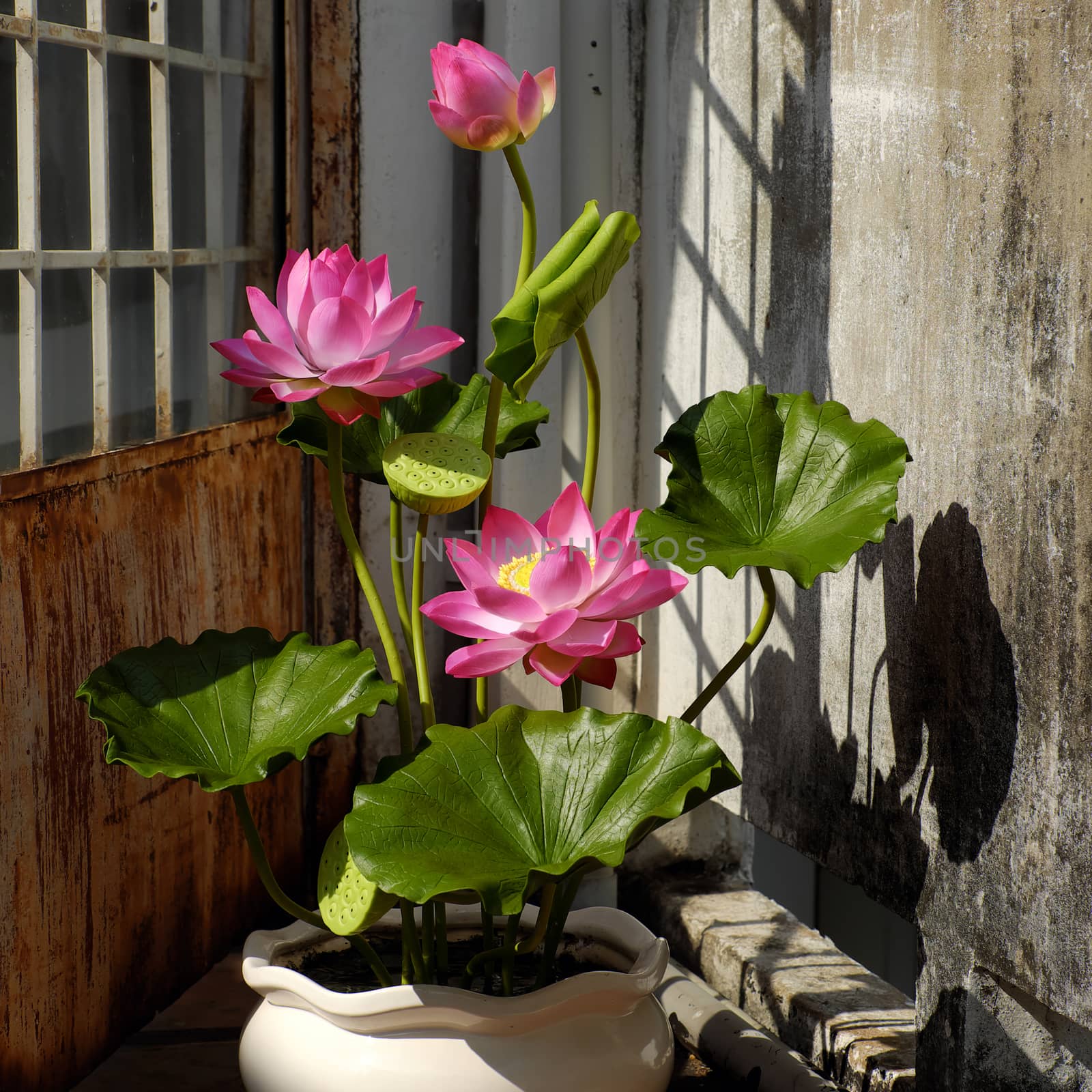Artificial flower,  lotus flower from clay by xuanhuongho