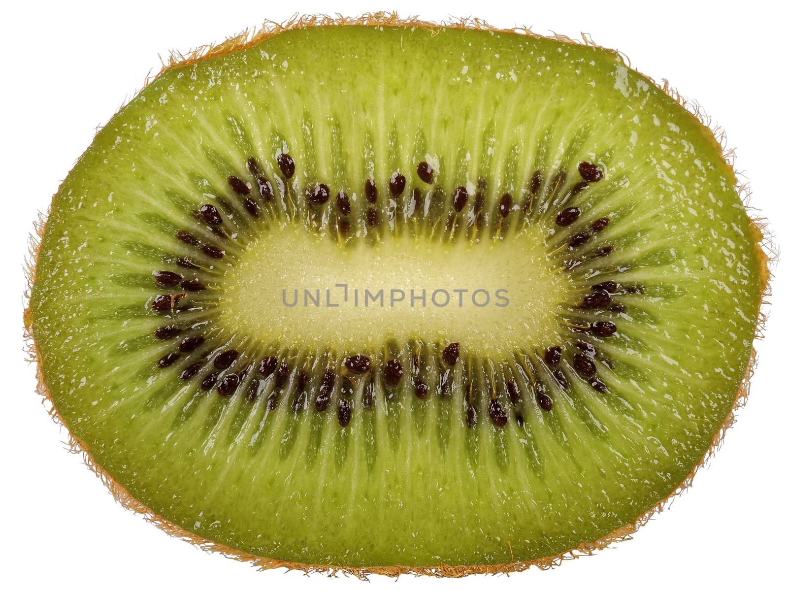 cut in half kiwi fruit isolated on white background