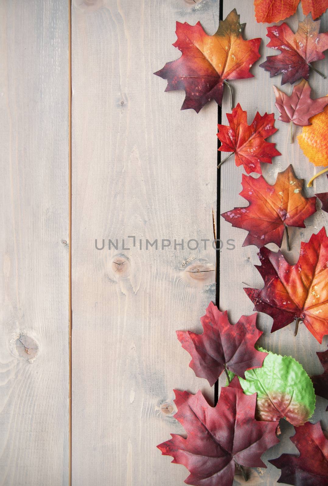 Autumn leaves on top of a wooden background with space