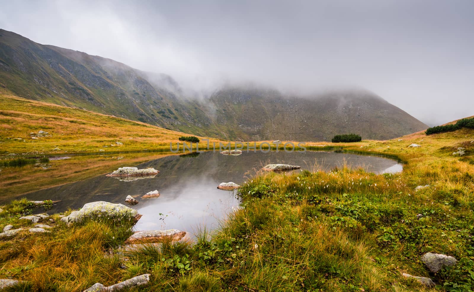 Small Tarn with Rocks in Foggy West Tatra Mountains in the Evening