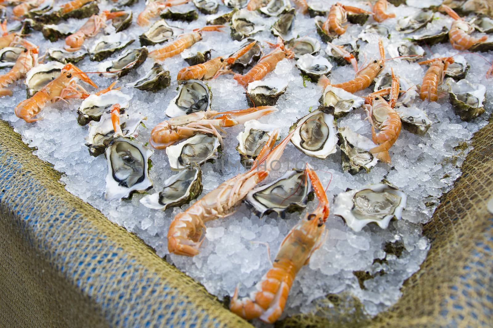 Close up view of a composition of shrimp and oysters on ice