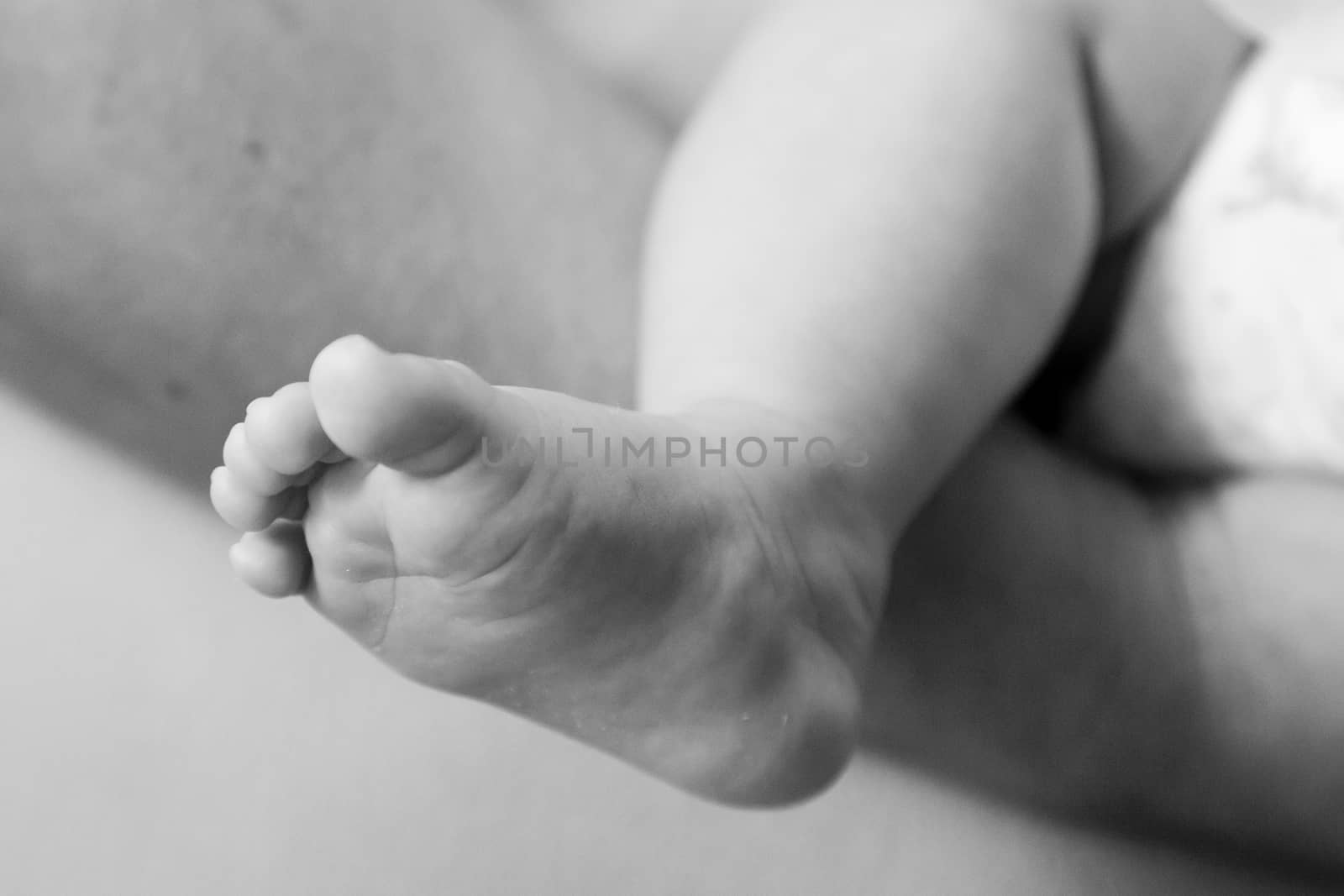 Close up view of a foot of a newborn baby in black and white