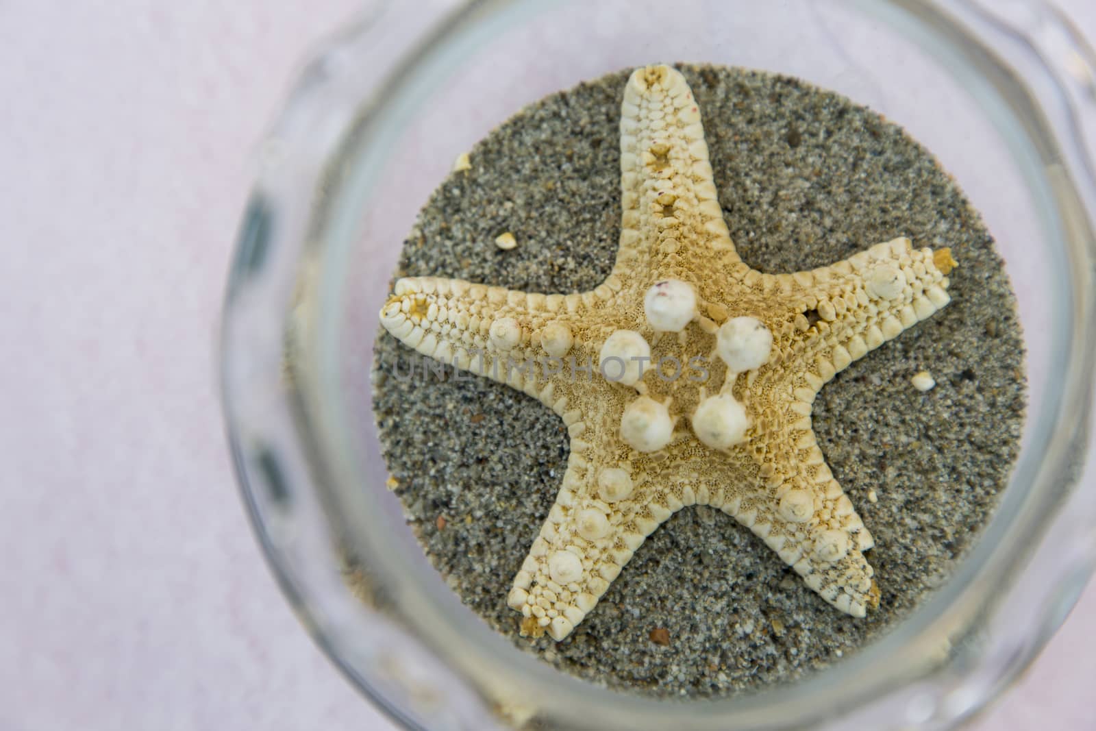 View of a starfish in a glass jar that is used as centreboard