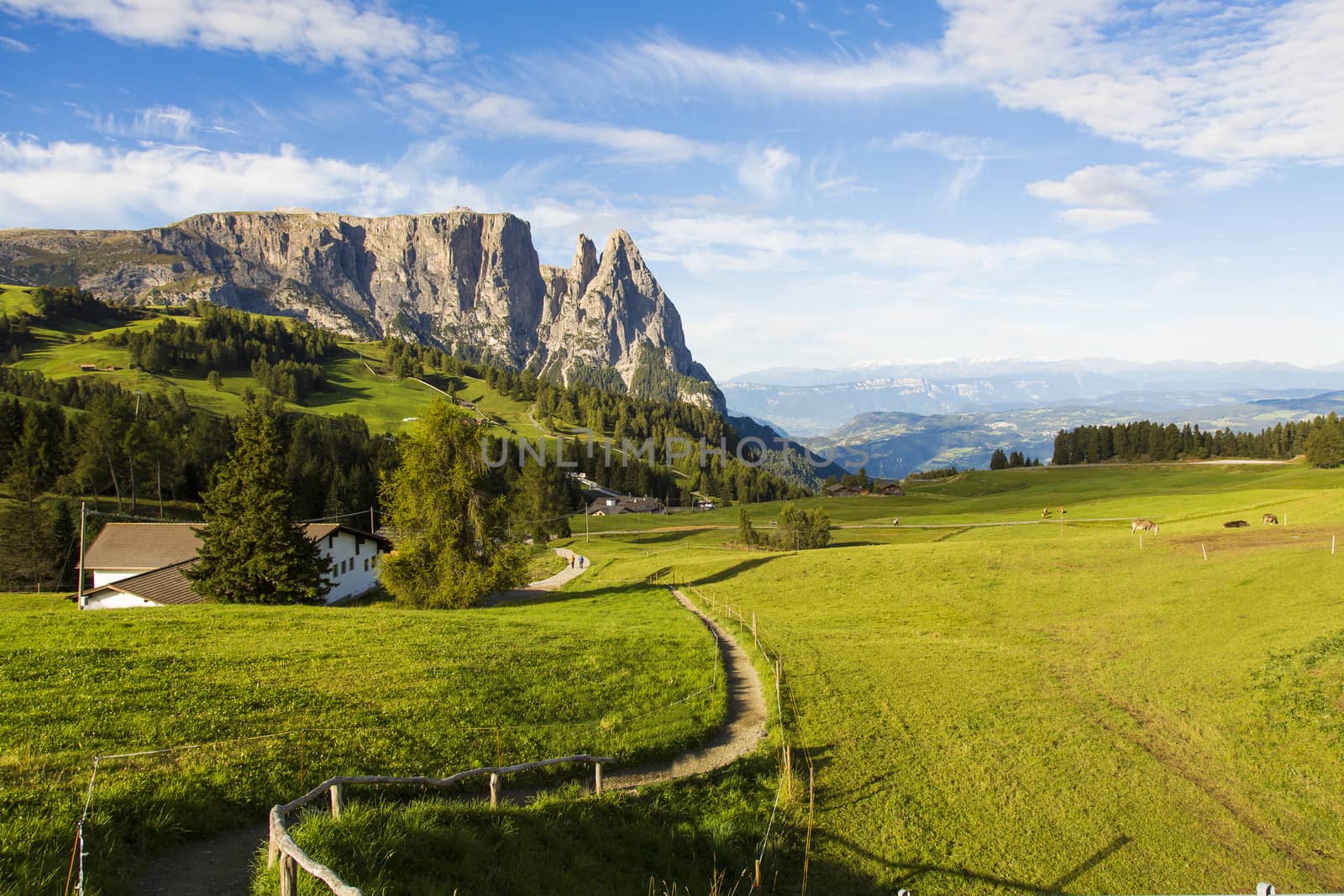 Panoramic view of the upper floor of the Seiser Alm Schlern on a sunny day