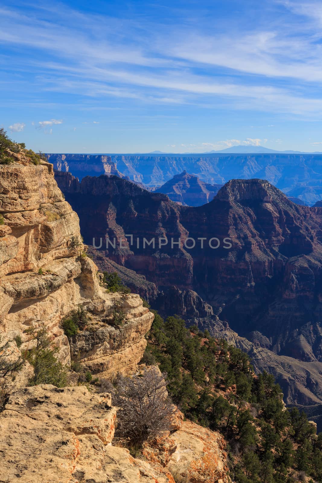 Beautiful Landscape of Grand Canyon from North Rim, Arizona, Uni by dpetrakov