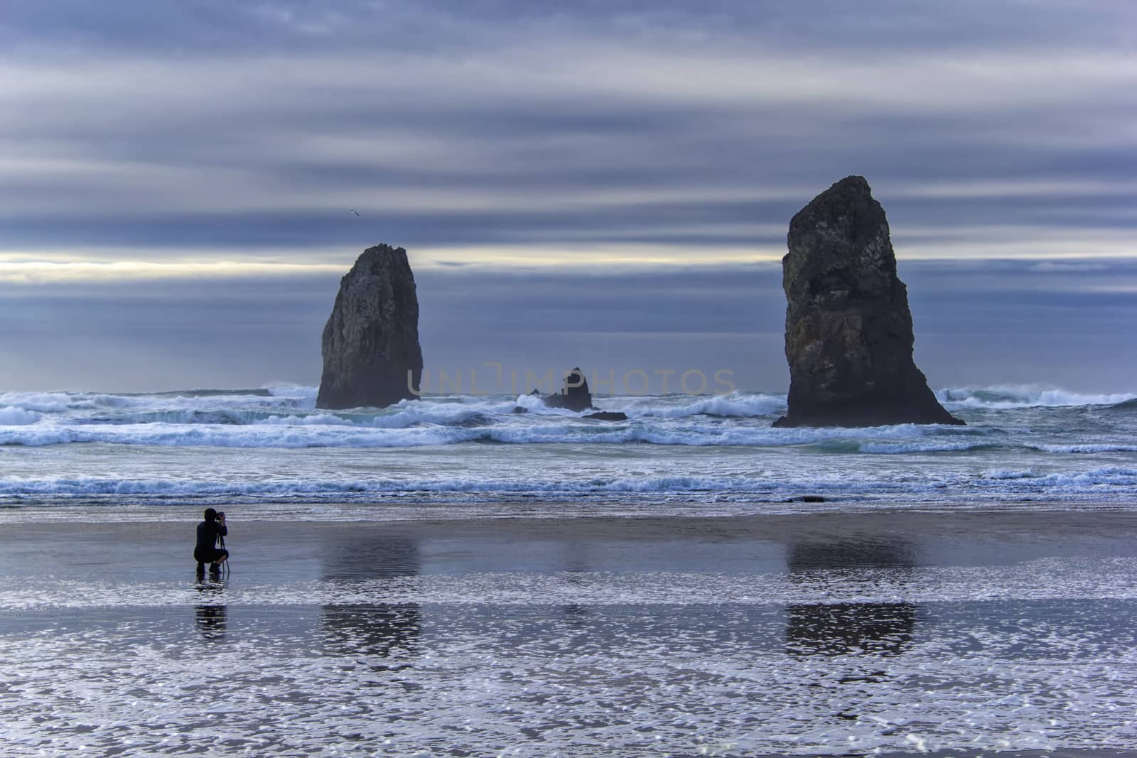 Photographer at Cannon Beach by Davidgn
