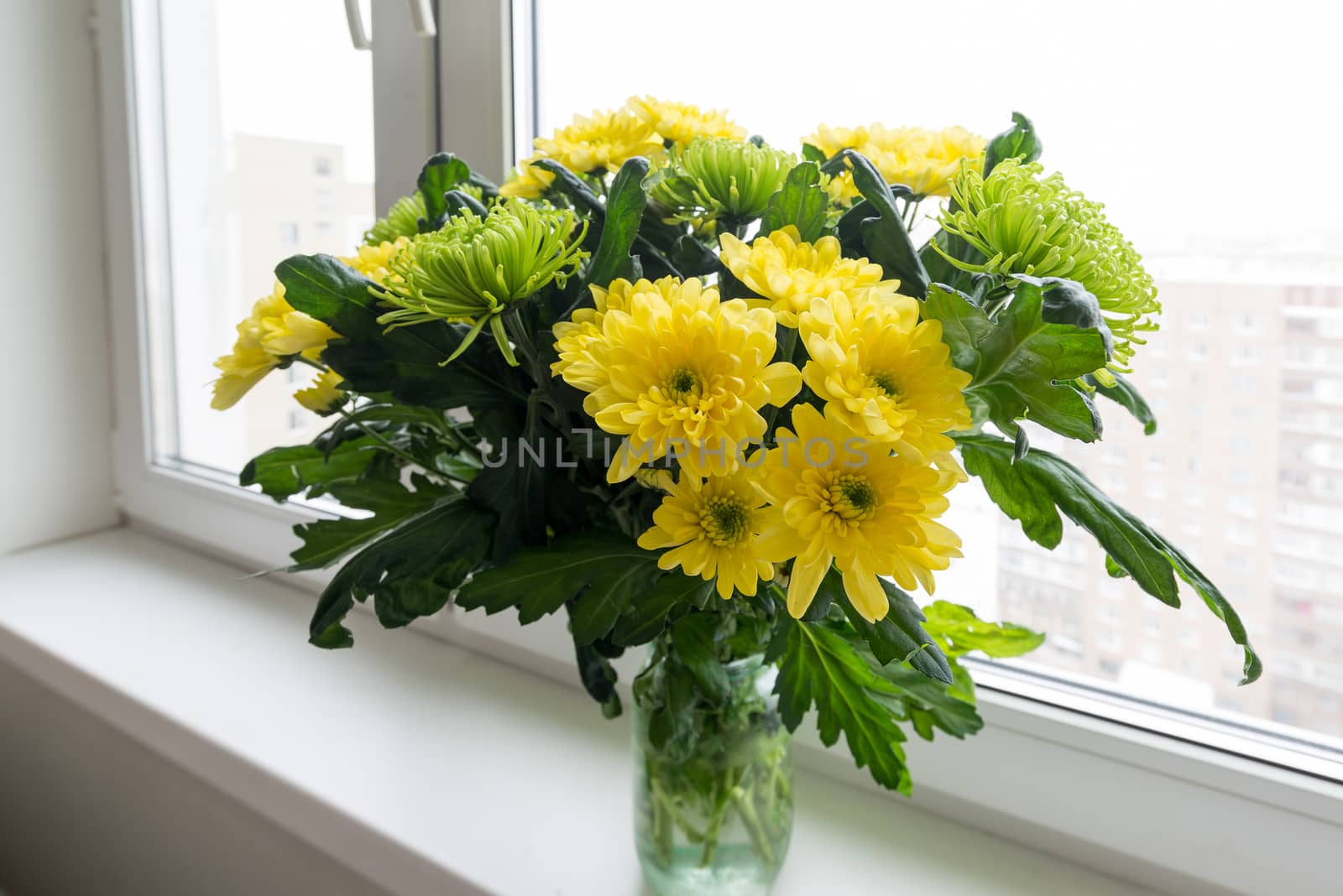 Bouquet of yellow chrysanthemums and green stands on the windowsill