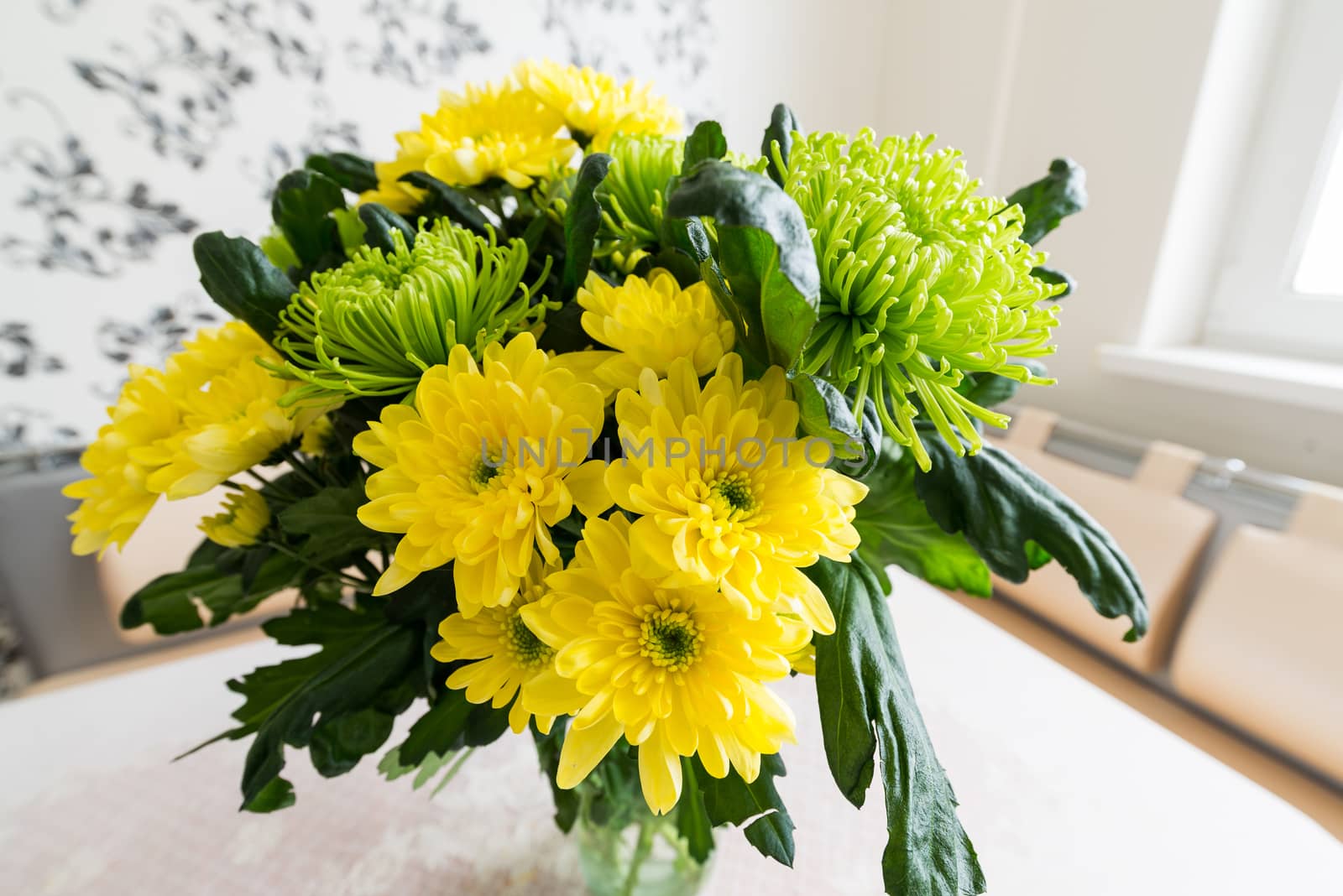 Bouquet of yellow and green chrysanthemums standing on kitchen table by olgavolodina