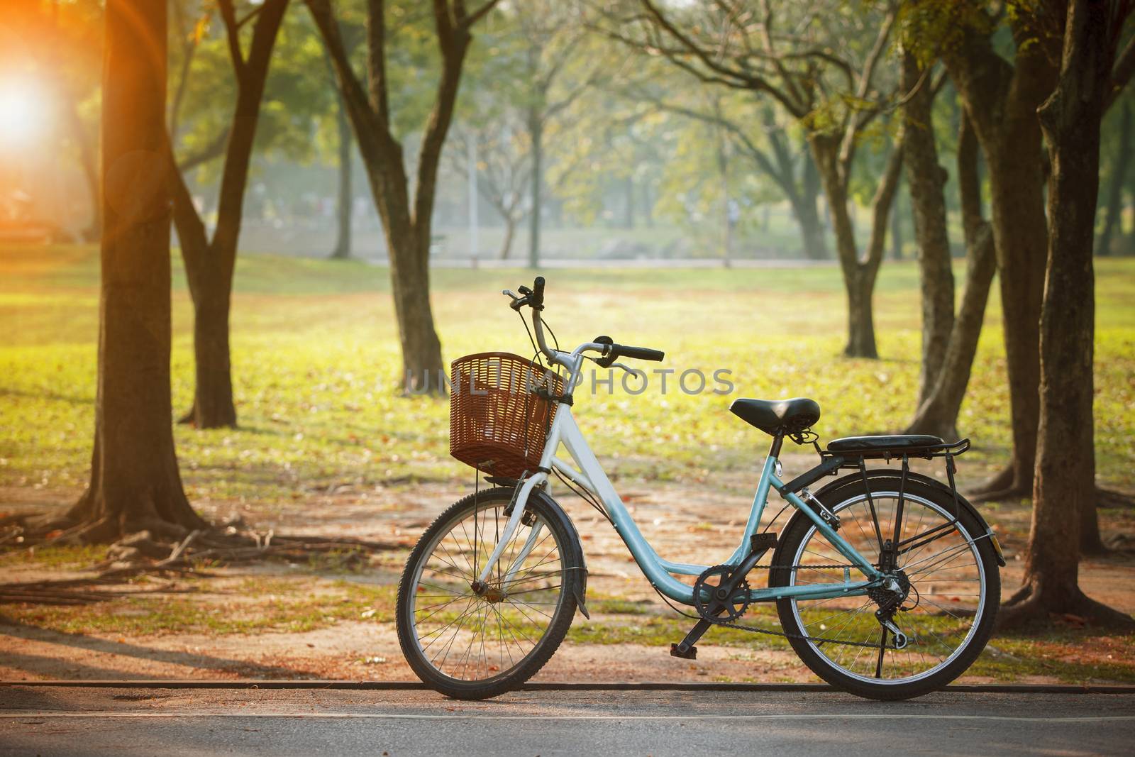 old vintage bicycle in public park with engergy save and green environmental concept
