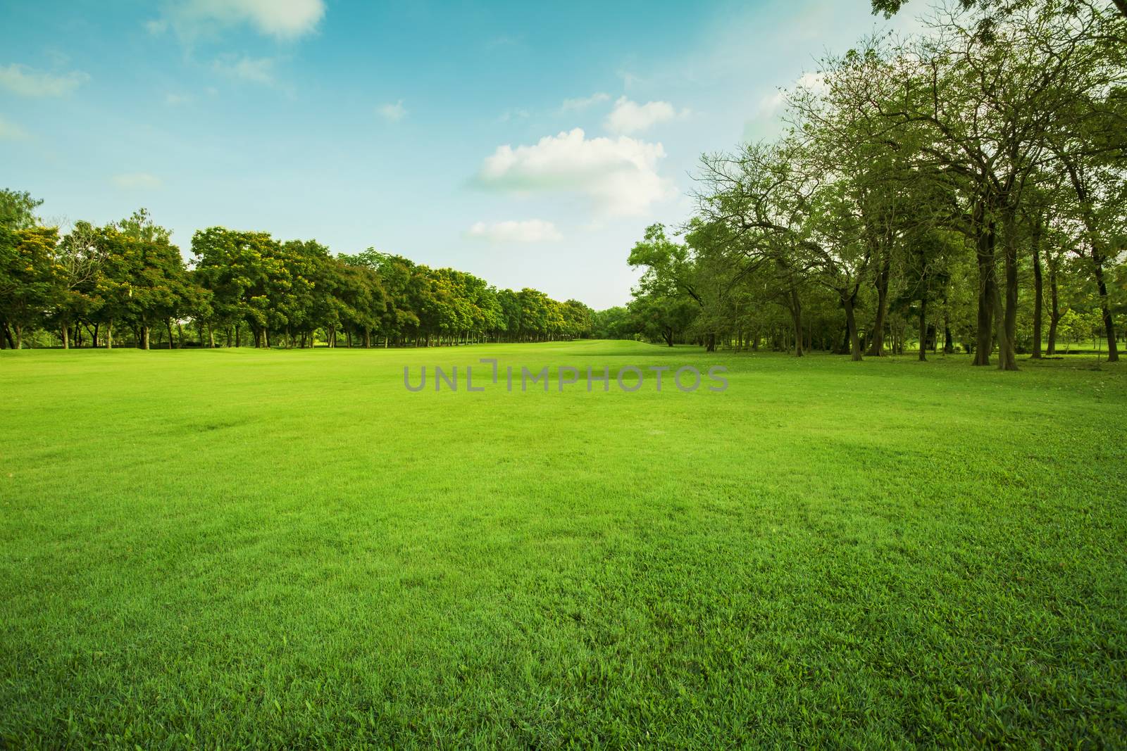landscape of grass field and green environment public park use a by khunaspix