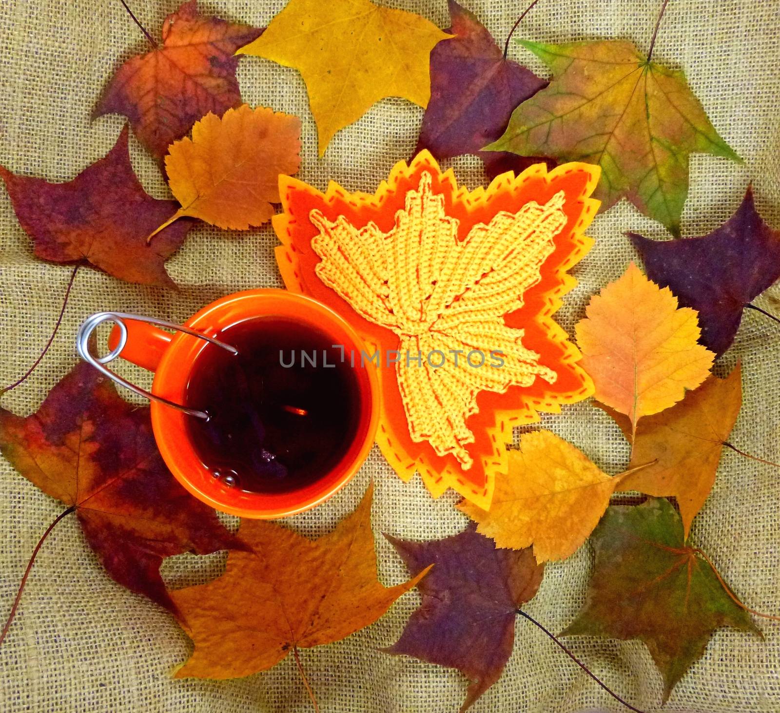 Red cup with tea on a background of autumn leaves by Julia_Faranchuk