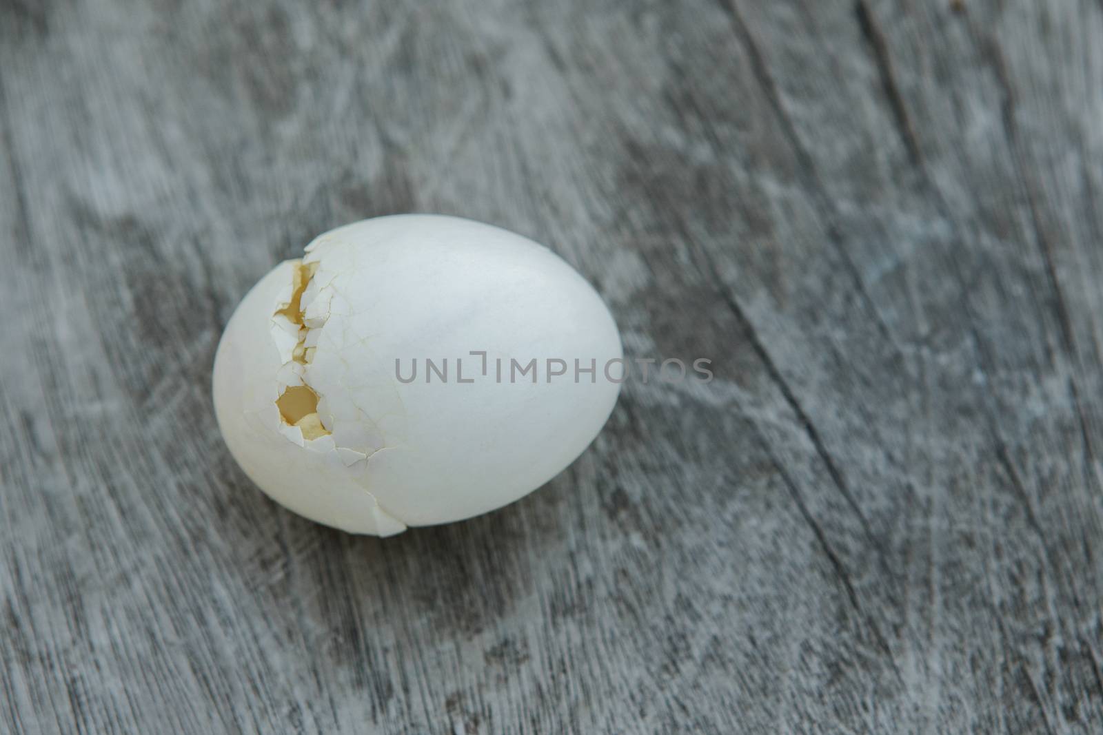 broken pigeon egg shell on wood background