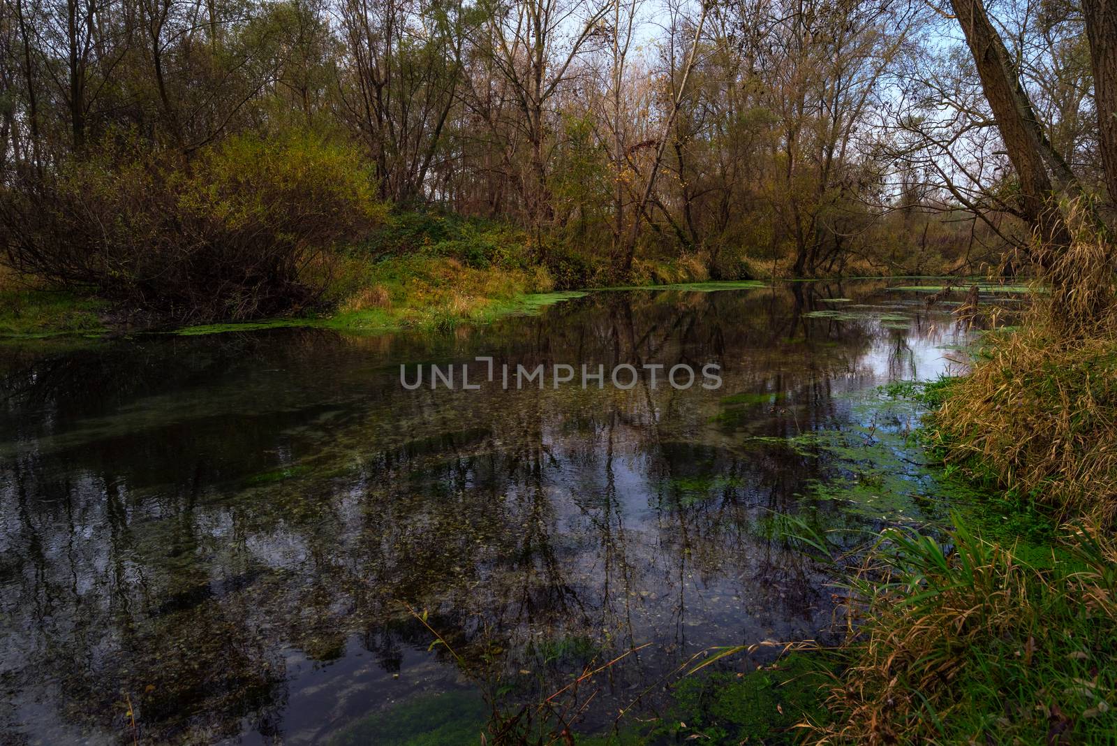 Ticino river view by Robertobinetti70