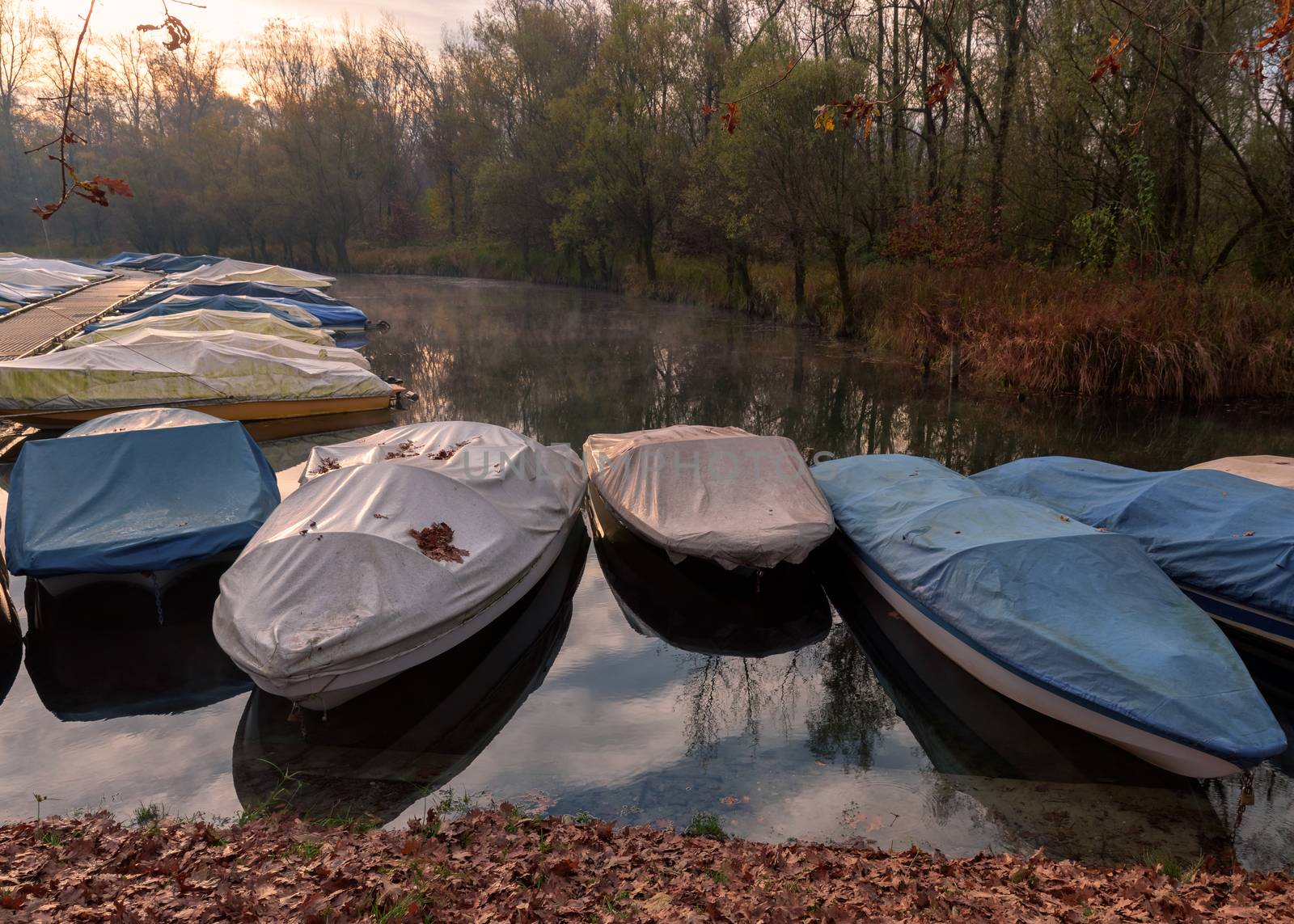 Ticino river and its forest  and many covered anchored motorboats.