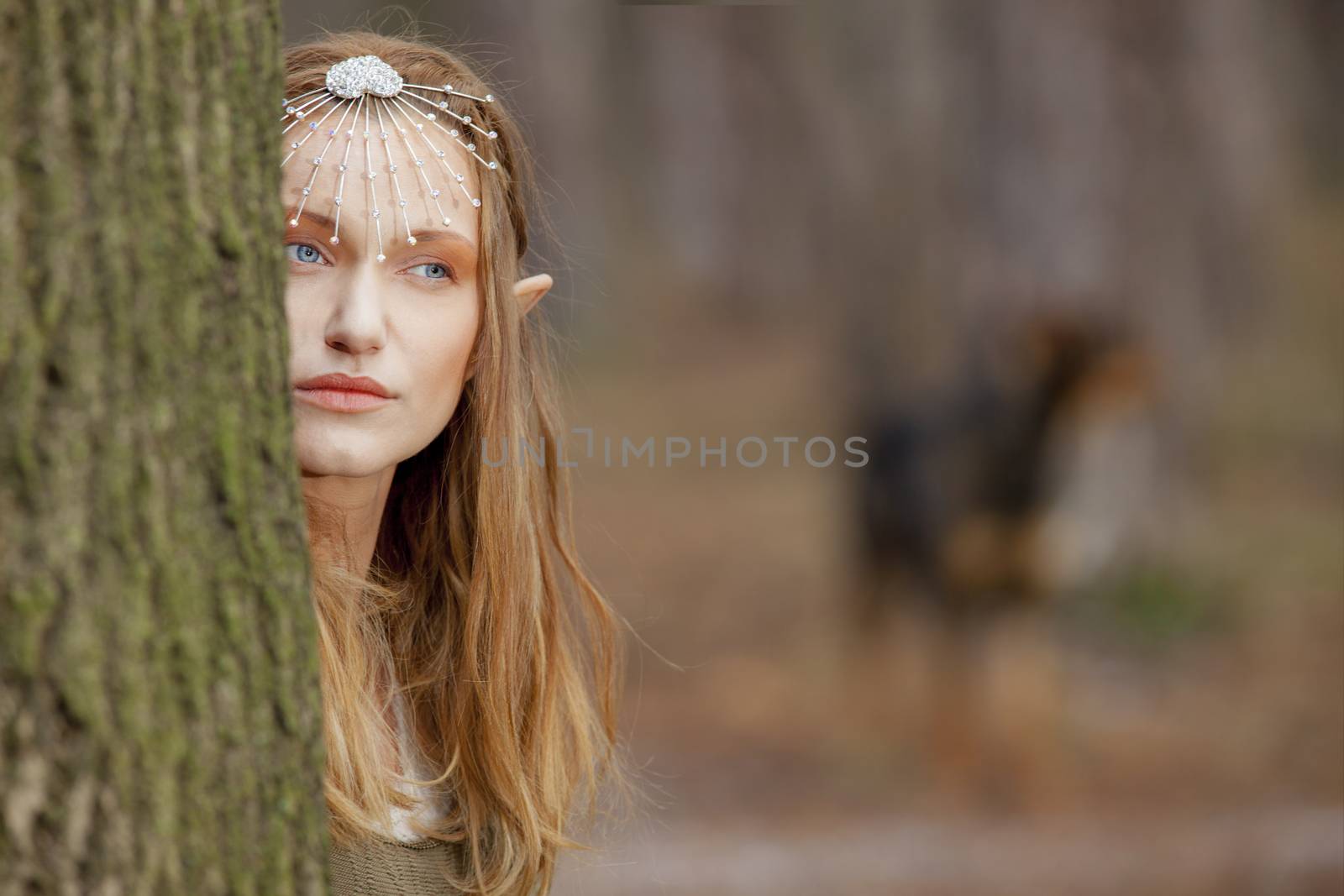 A portrait of a beautiful woman with elf ears and diadem in the forest.