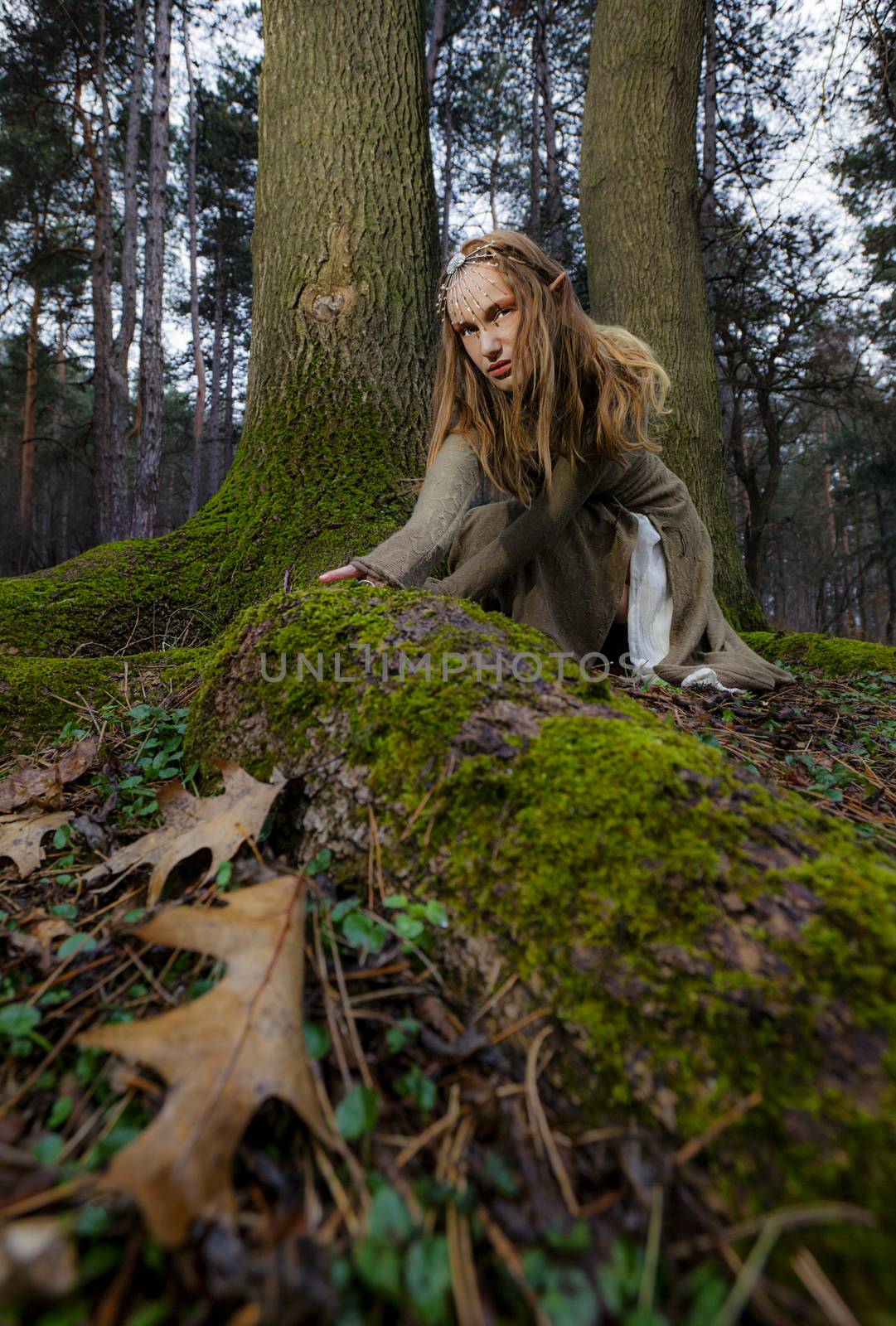 A portrait of a beautiful wild woman with elf ears crawling in the forest.