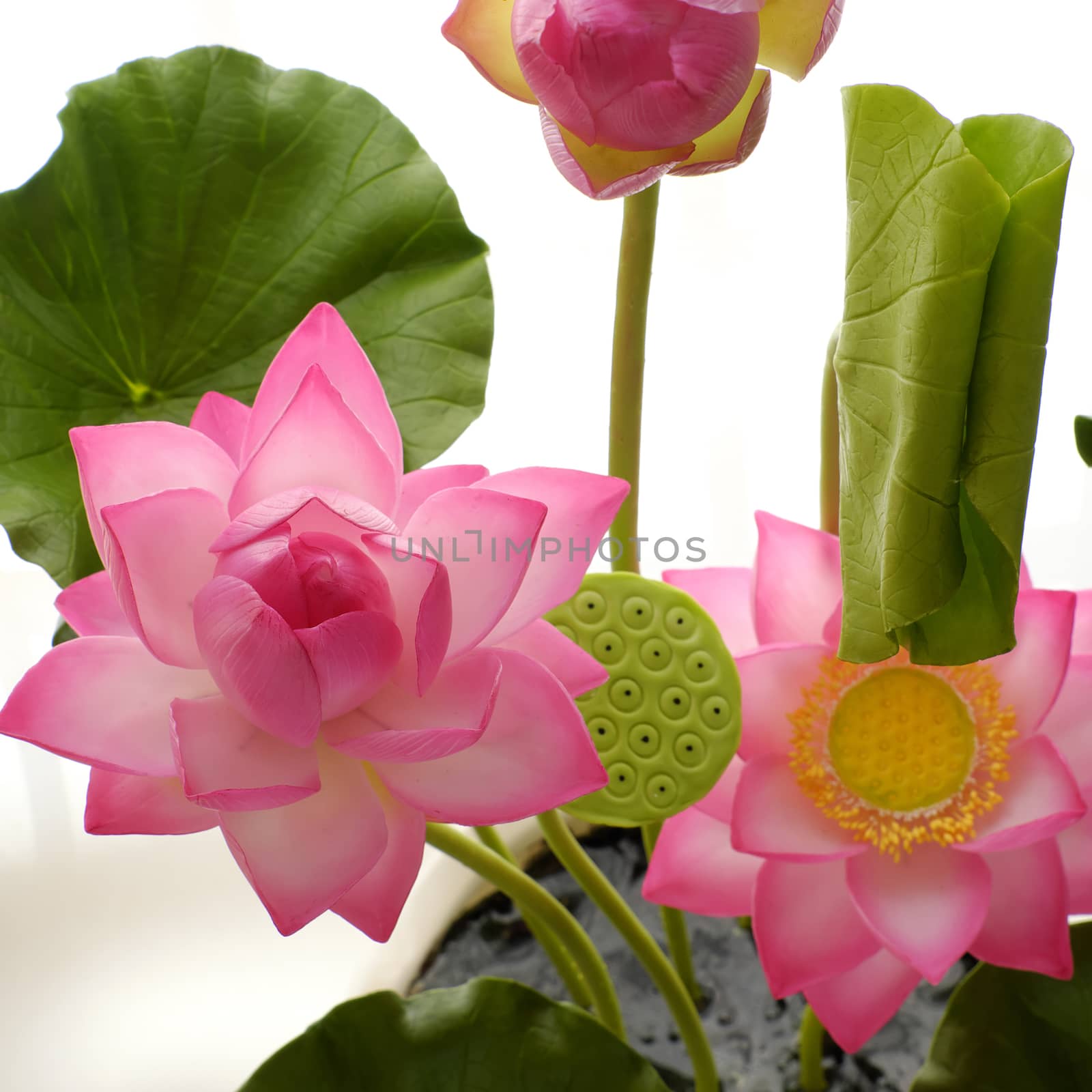 Artificial flower, handmade clay lotus flower with green leaf and pink petal, diy art product for home decoration, close up artwork on white background