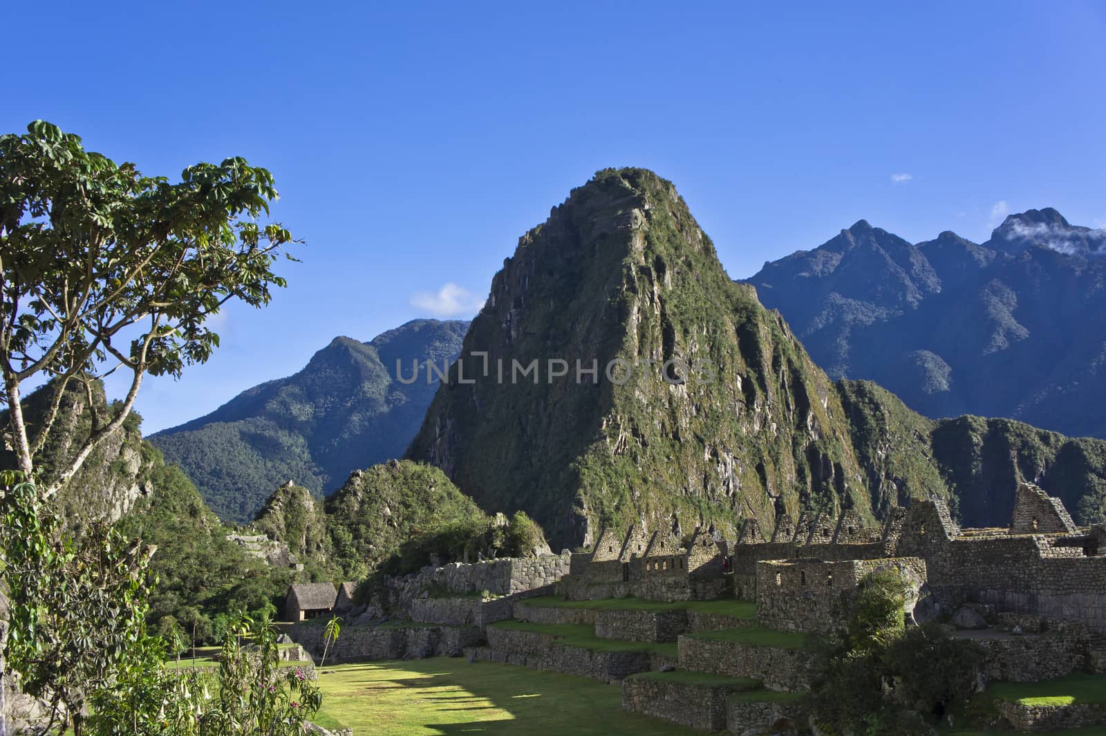 Machu Picchu, Peru, South America by giannakisphoto