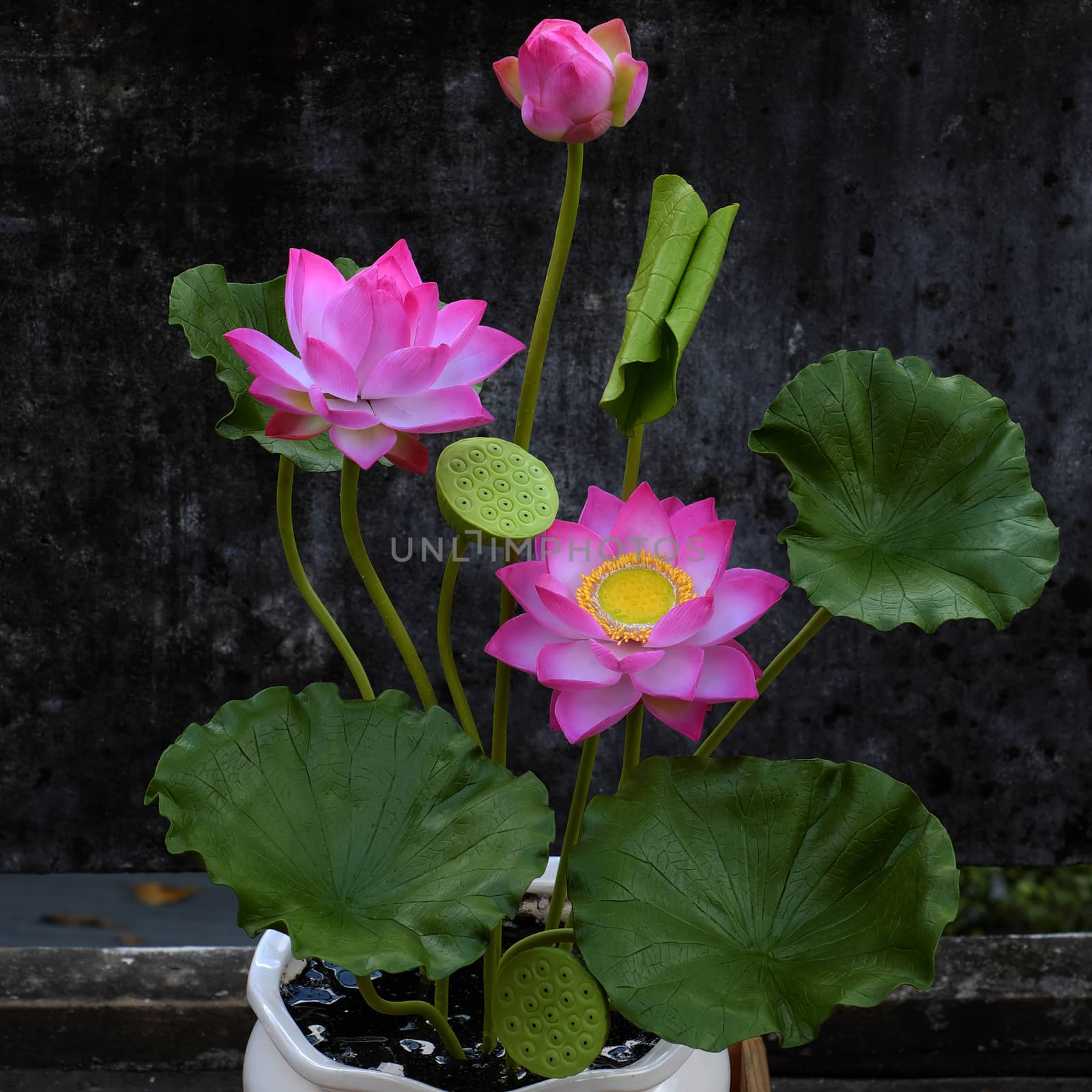 clay lotus flower old wall background by xuanhuongho