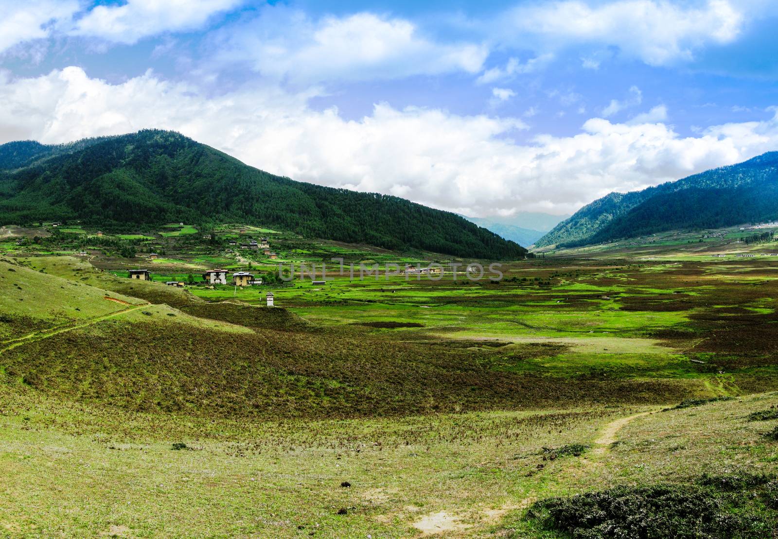 Landscape of mountain Phobjikha valley in Bhutan Himalayas