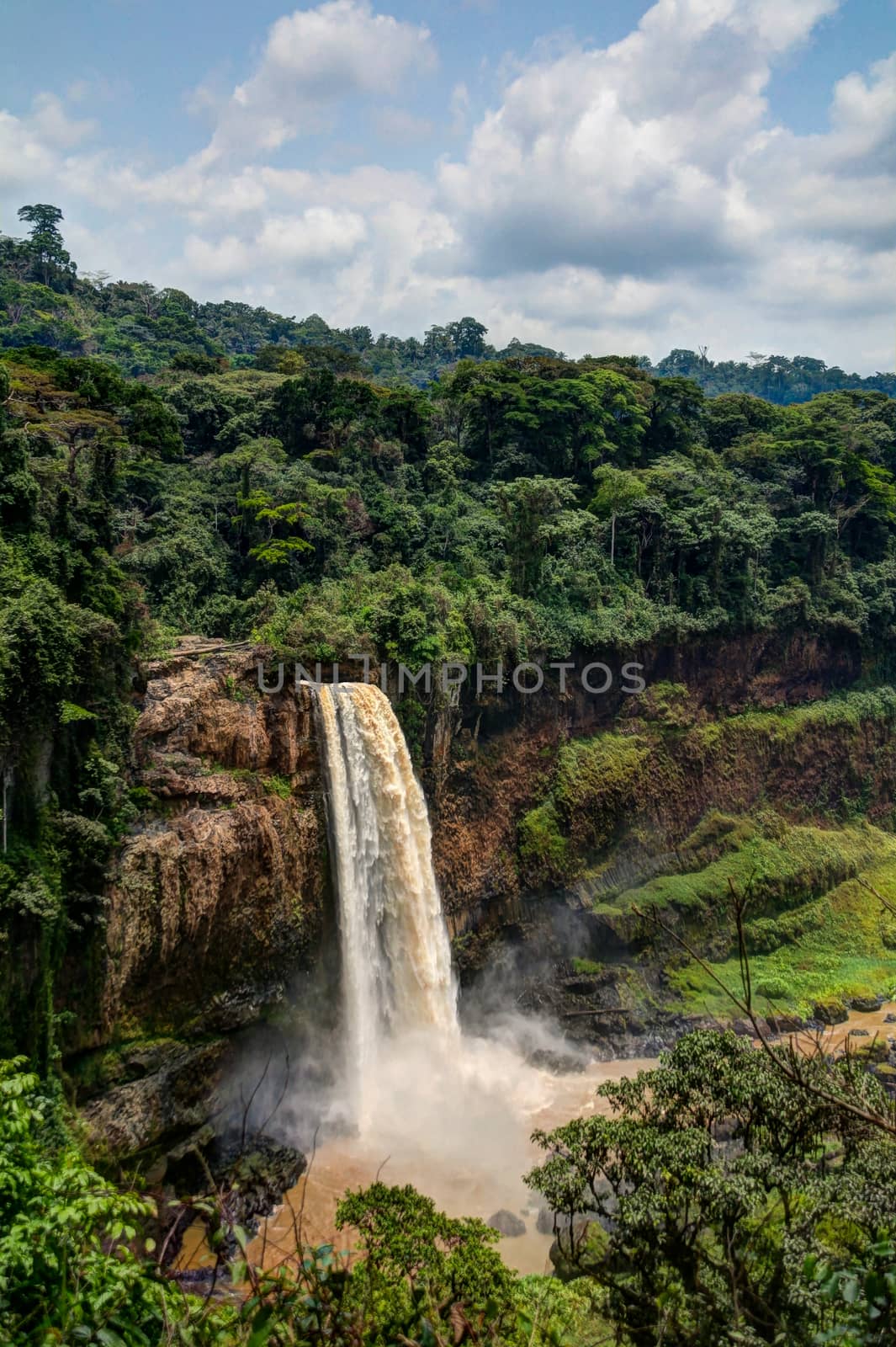 Panorama of Ekom waterfall by homocosmicos
