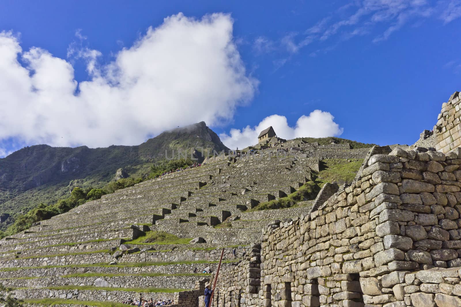 Machu Picchu, Peru, South America by giannakisphoto