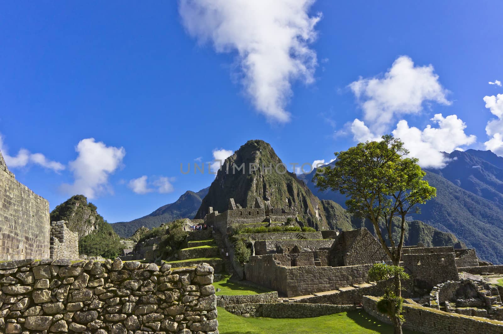 Machu Picchu, Peru, South America by giannakisphoto