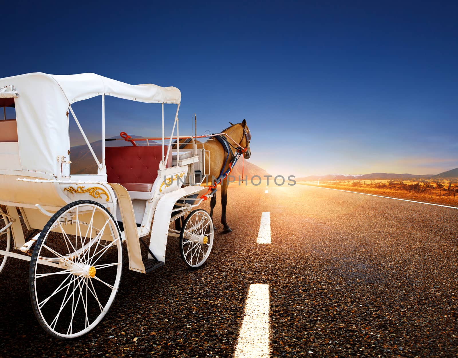 horse and classic fairy tale carriage on asphalt road perspective to beautiful land scape with sun rising sky 