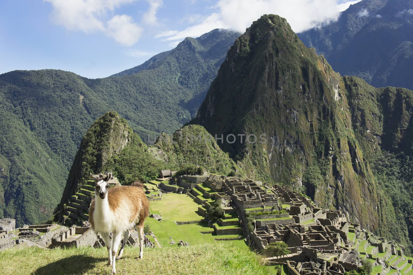 Machu Picchu, Peru, South America