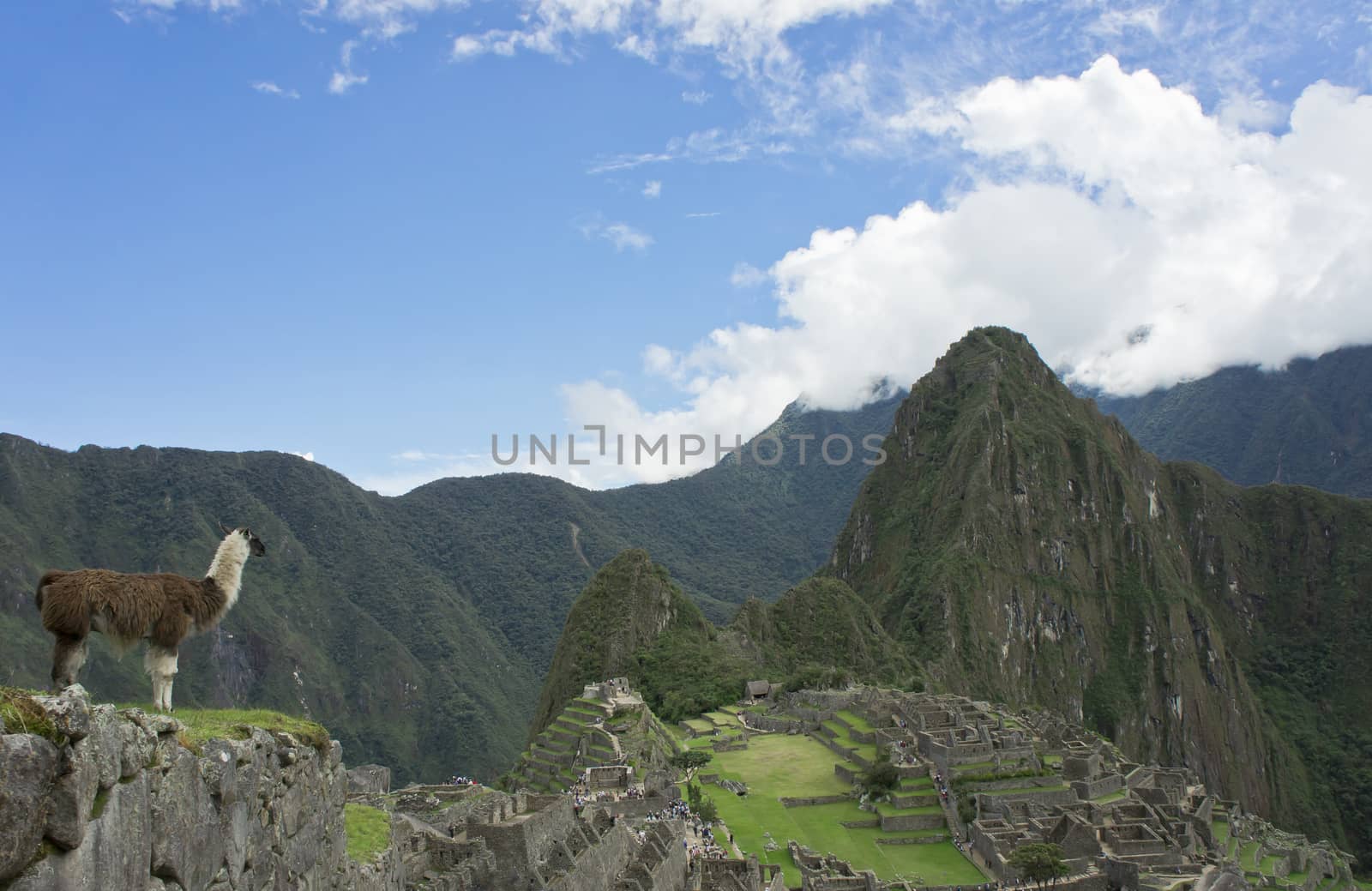 Machu Picchu, Peru, South America