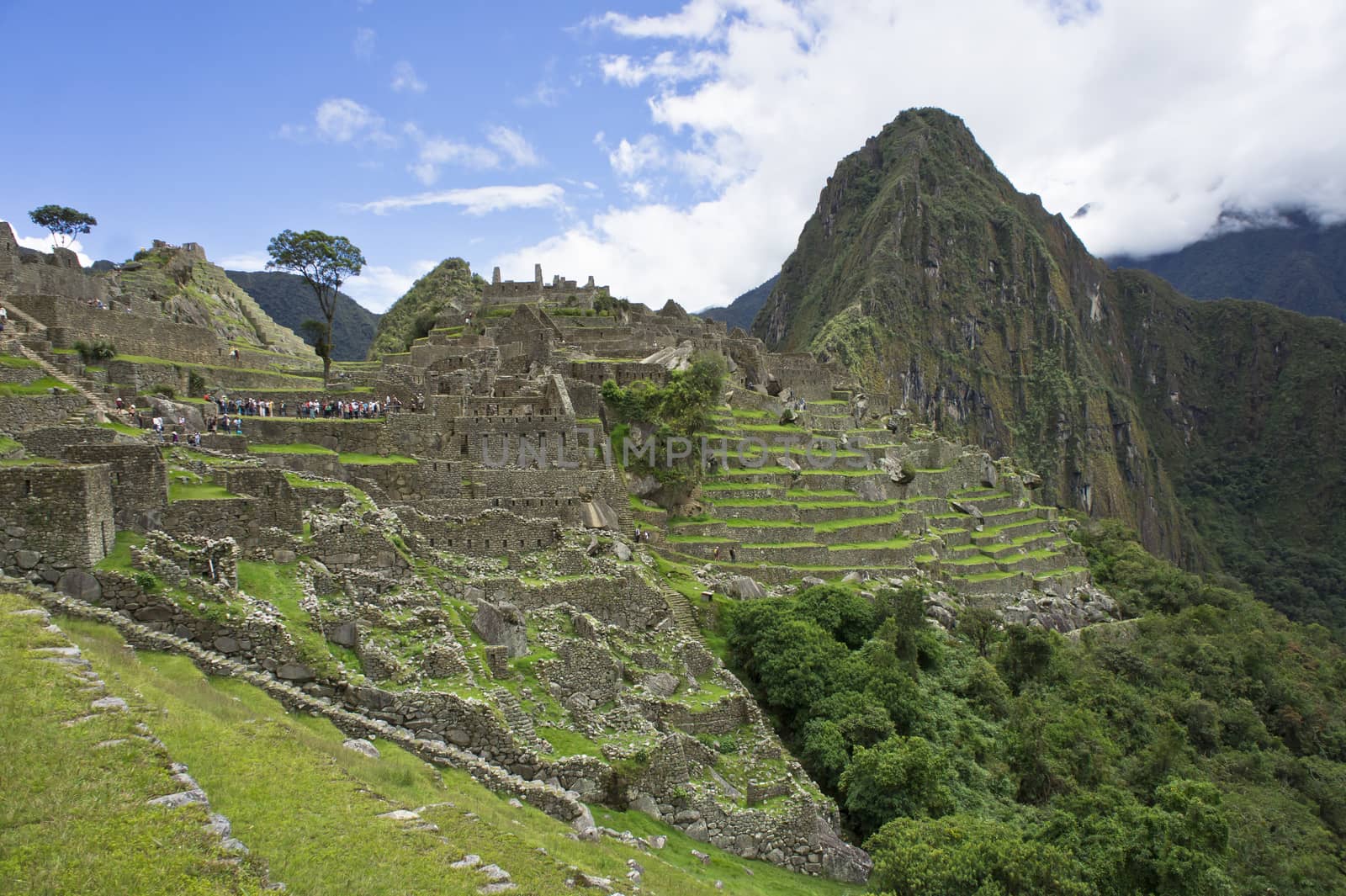 Machu Picchu, Peru, South America