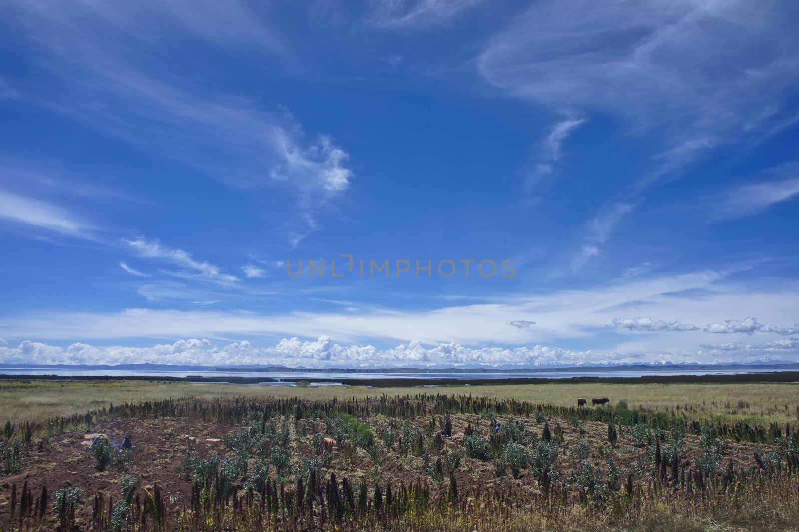 Bolivia by giannakisphoto