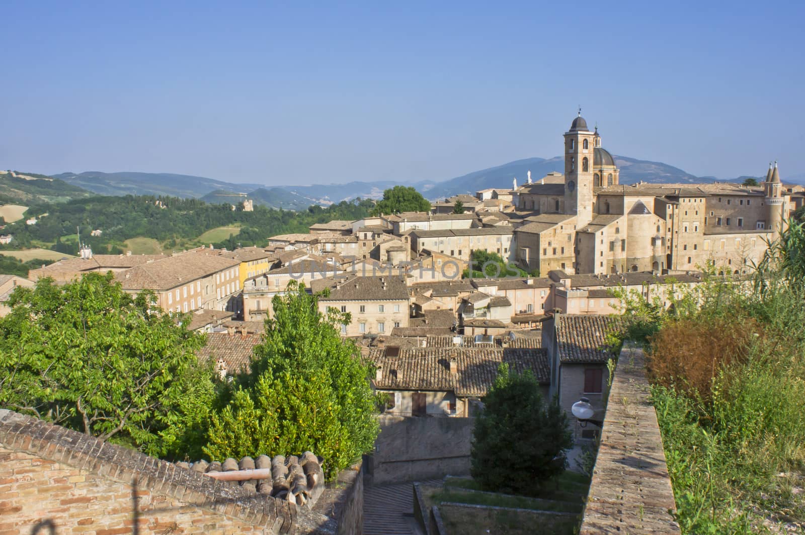 Urbino, Italy, Europe by giannakisphoto