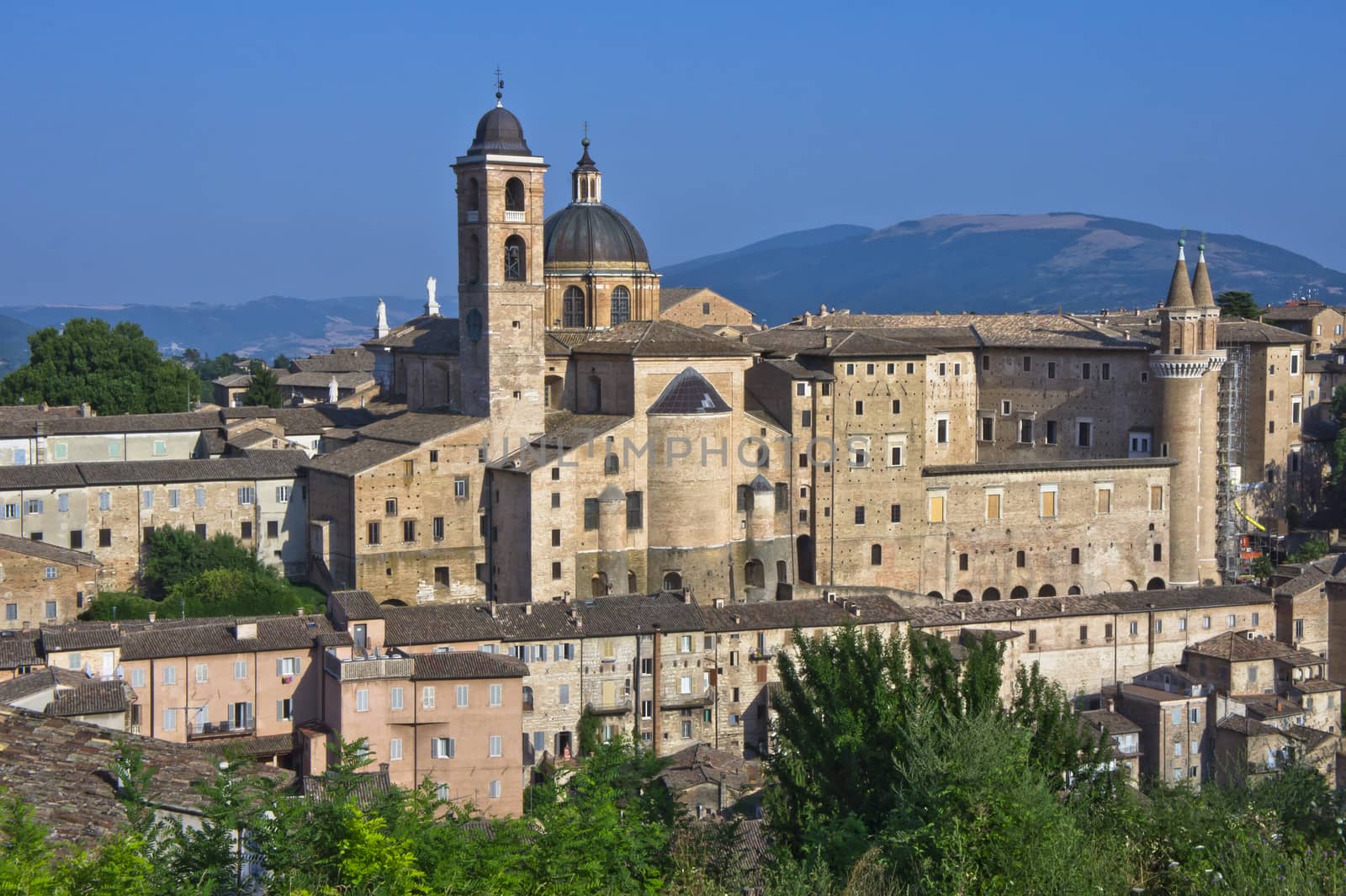 Urbino, Italy, Europe by giannakisphoto