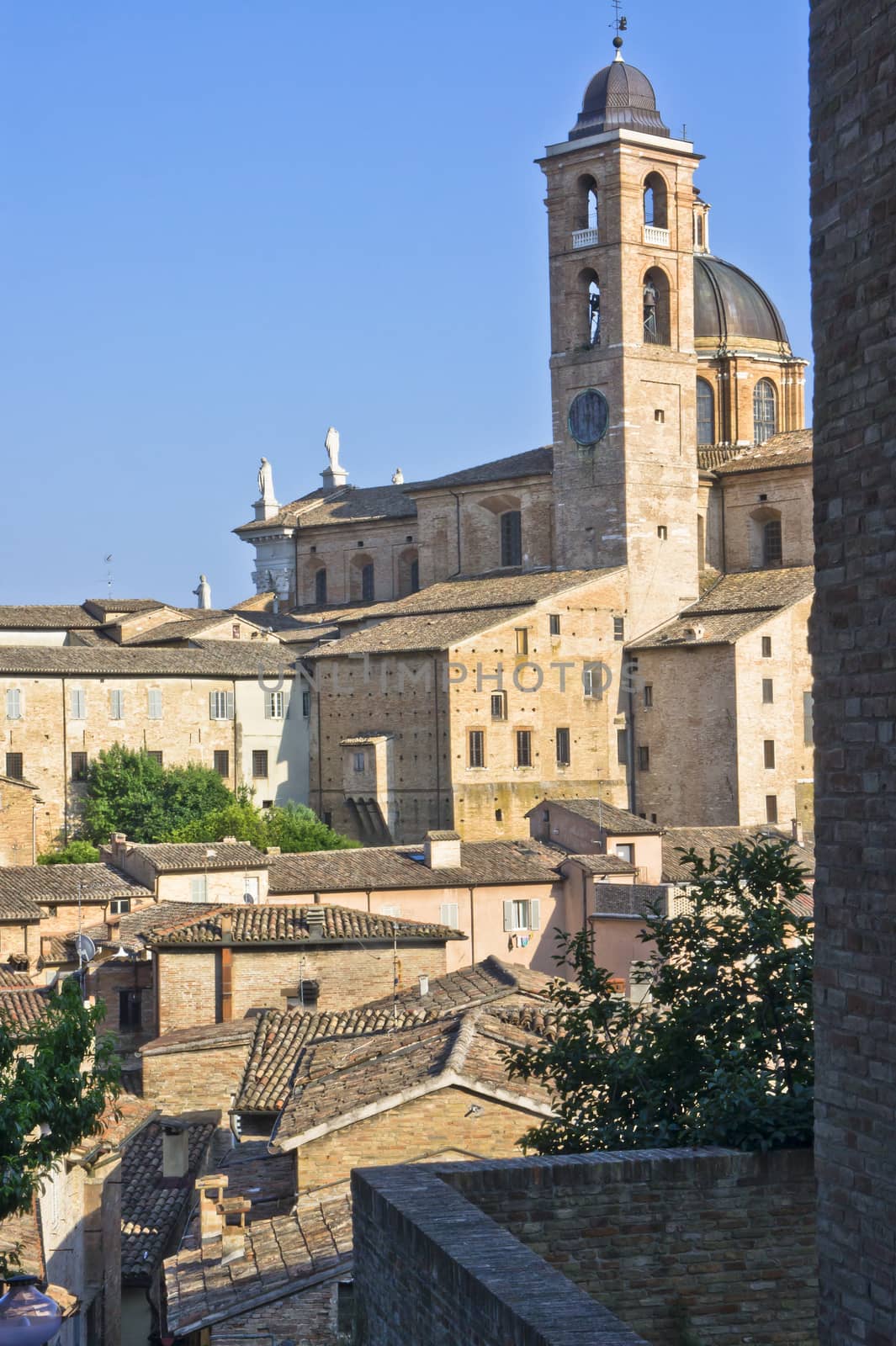 Urbino, Italy, Europe by giannakisphoto