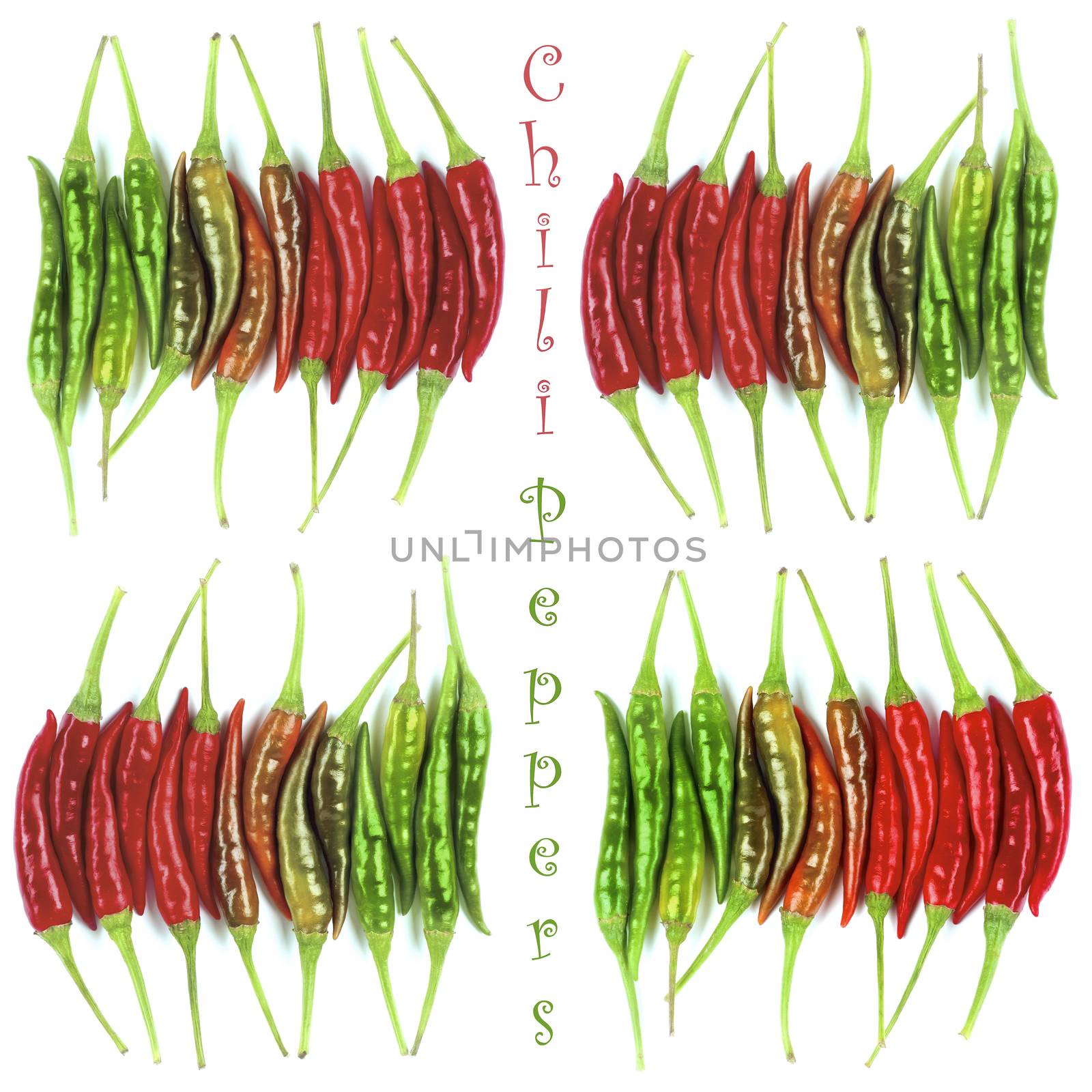 Collection of Fresh Shiny Red, Orange and Green Chili Peppers with Vertical Inscription isolated on White background