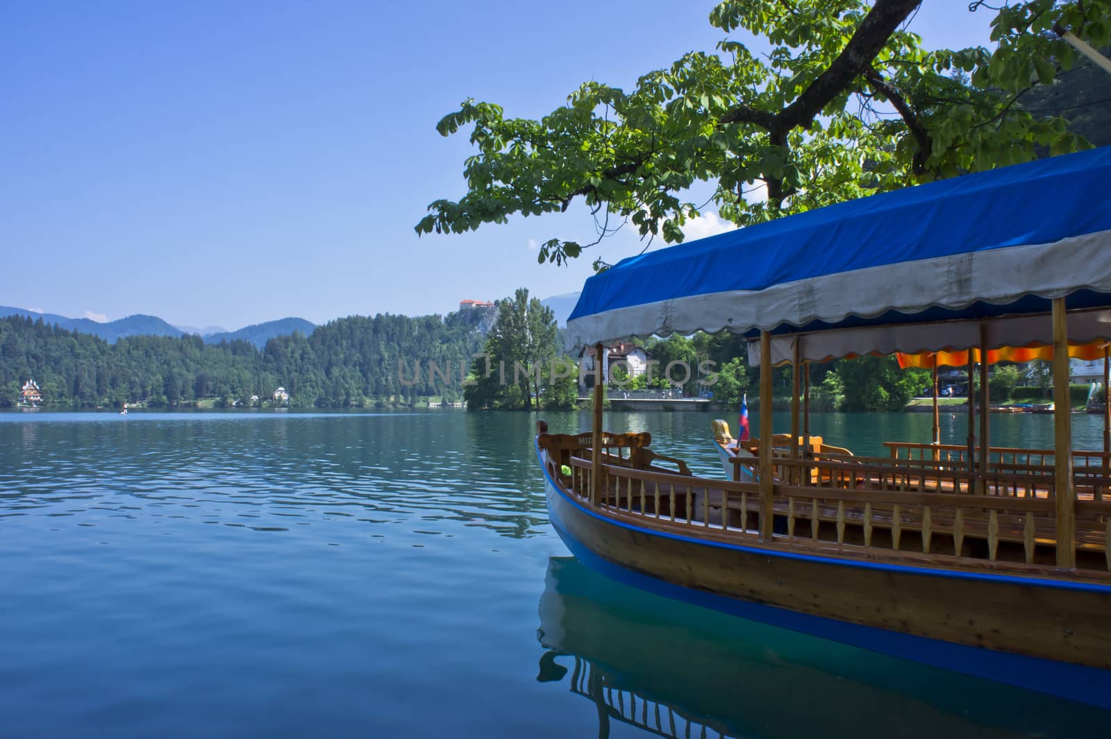 Lake Bled, Slovenia, Balkans, Europe by giannakisphoto