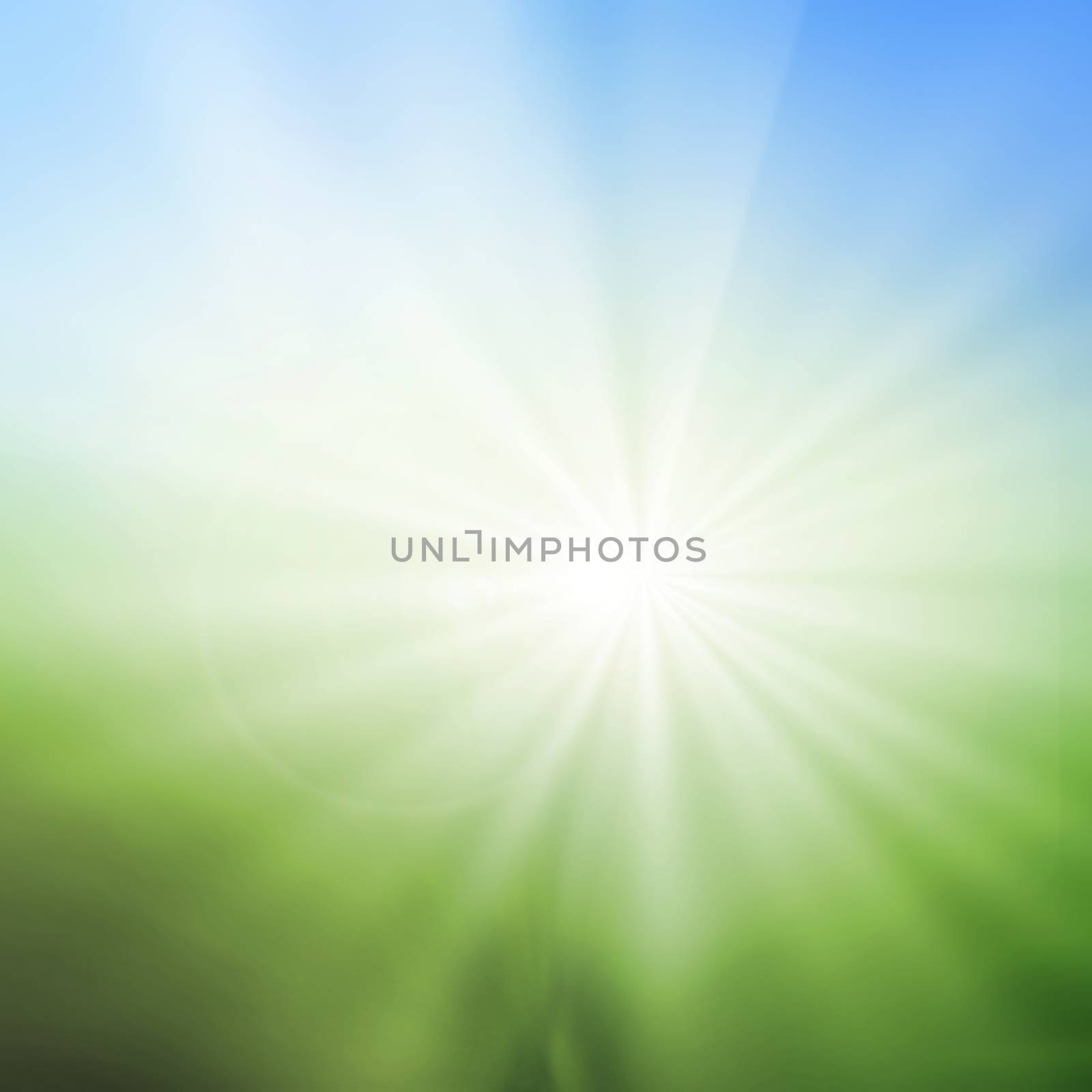abstract blur background of green grass field and blue sky above