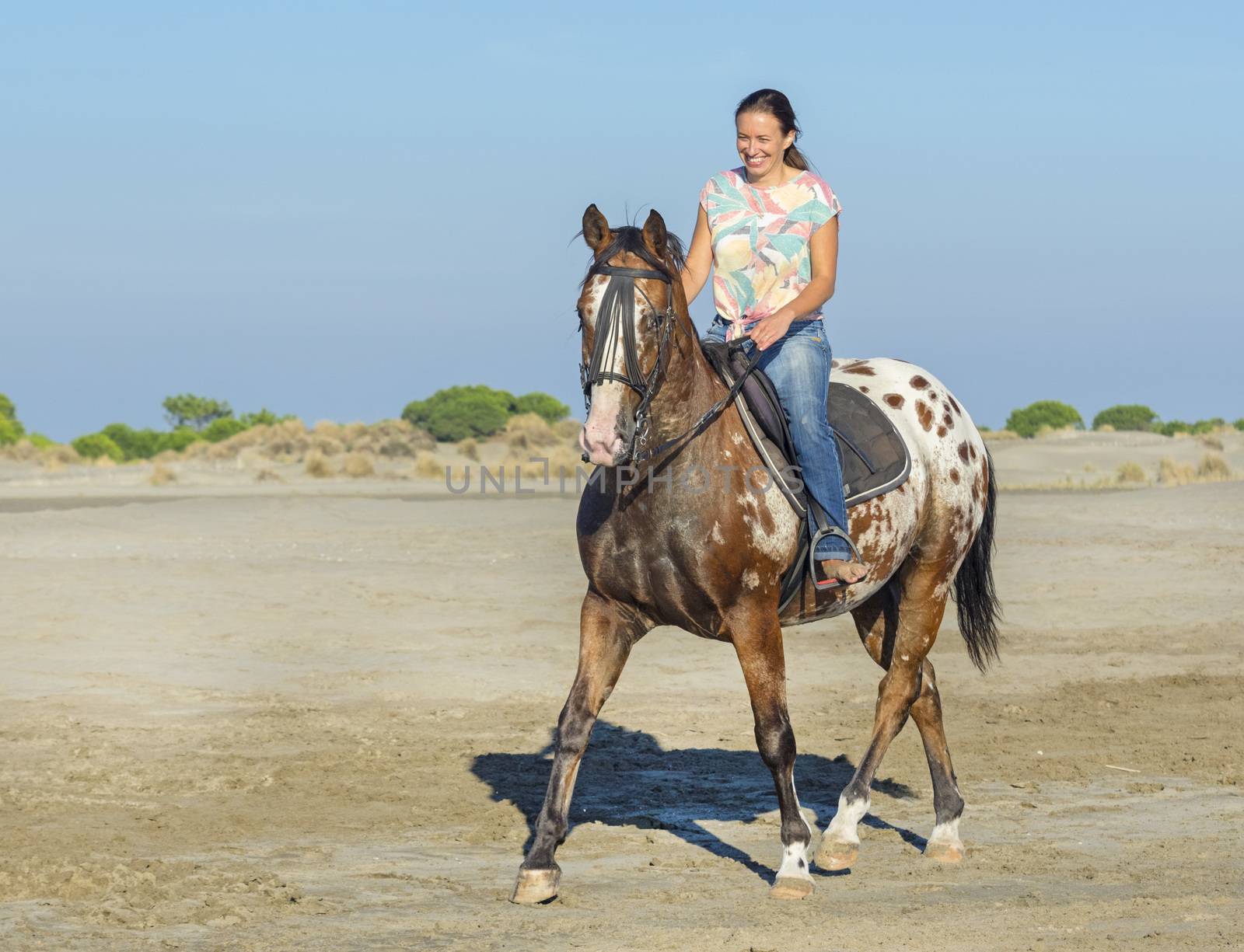 woman and appaloosa horse walking on the beach