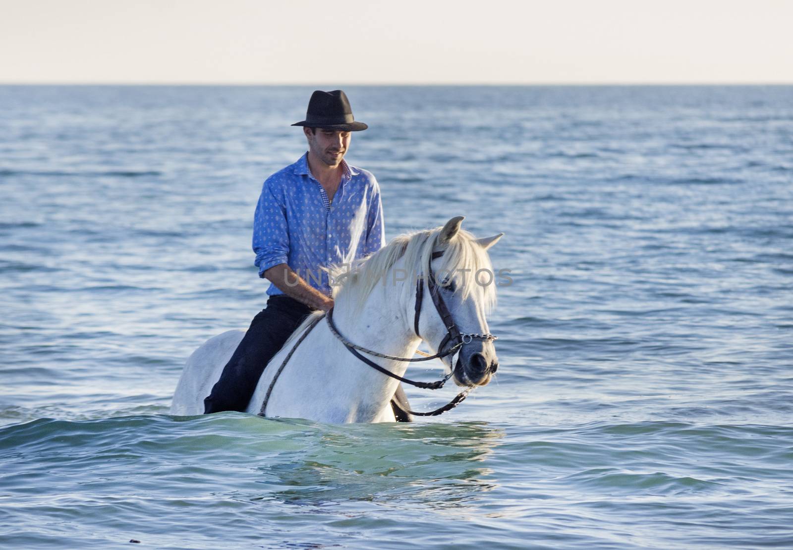 horseman and his Camargue horse in the sea
