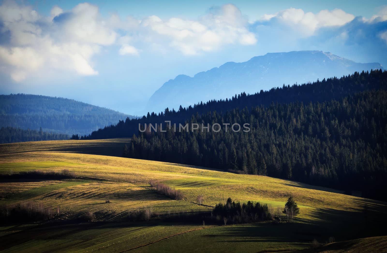 background autumn landscape before nightfall foothill meadows