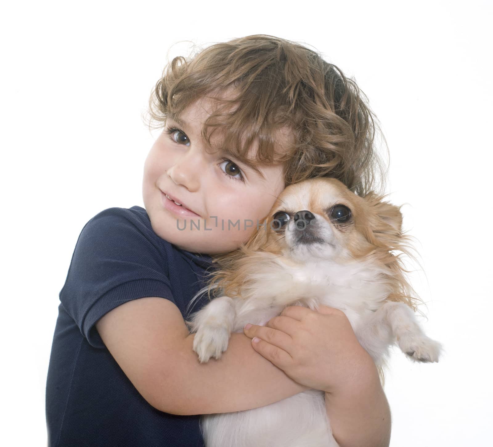 chihuahua and little boy in front of white background