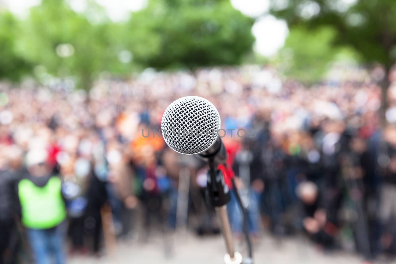 Political protest. Public demonstration. by wellphoto