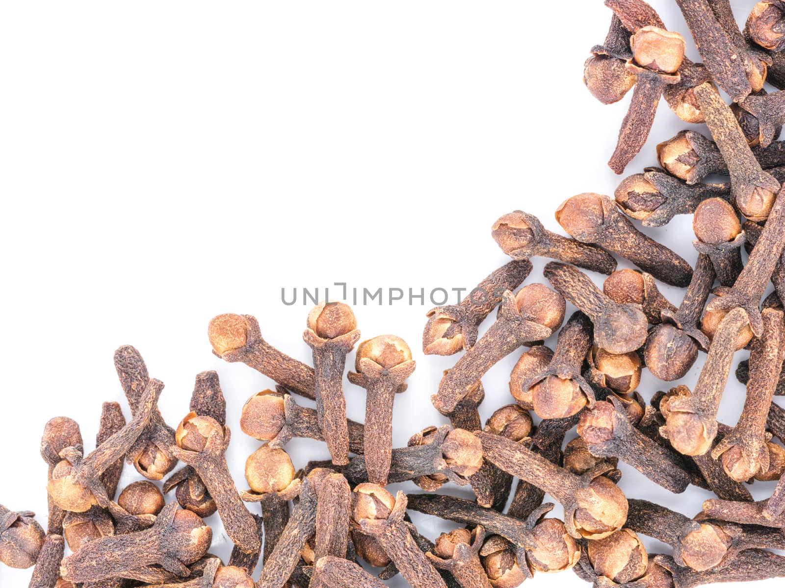 Cloves spice on white background with copy space. Isolated one edge. Top view or flat lay.